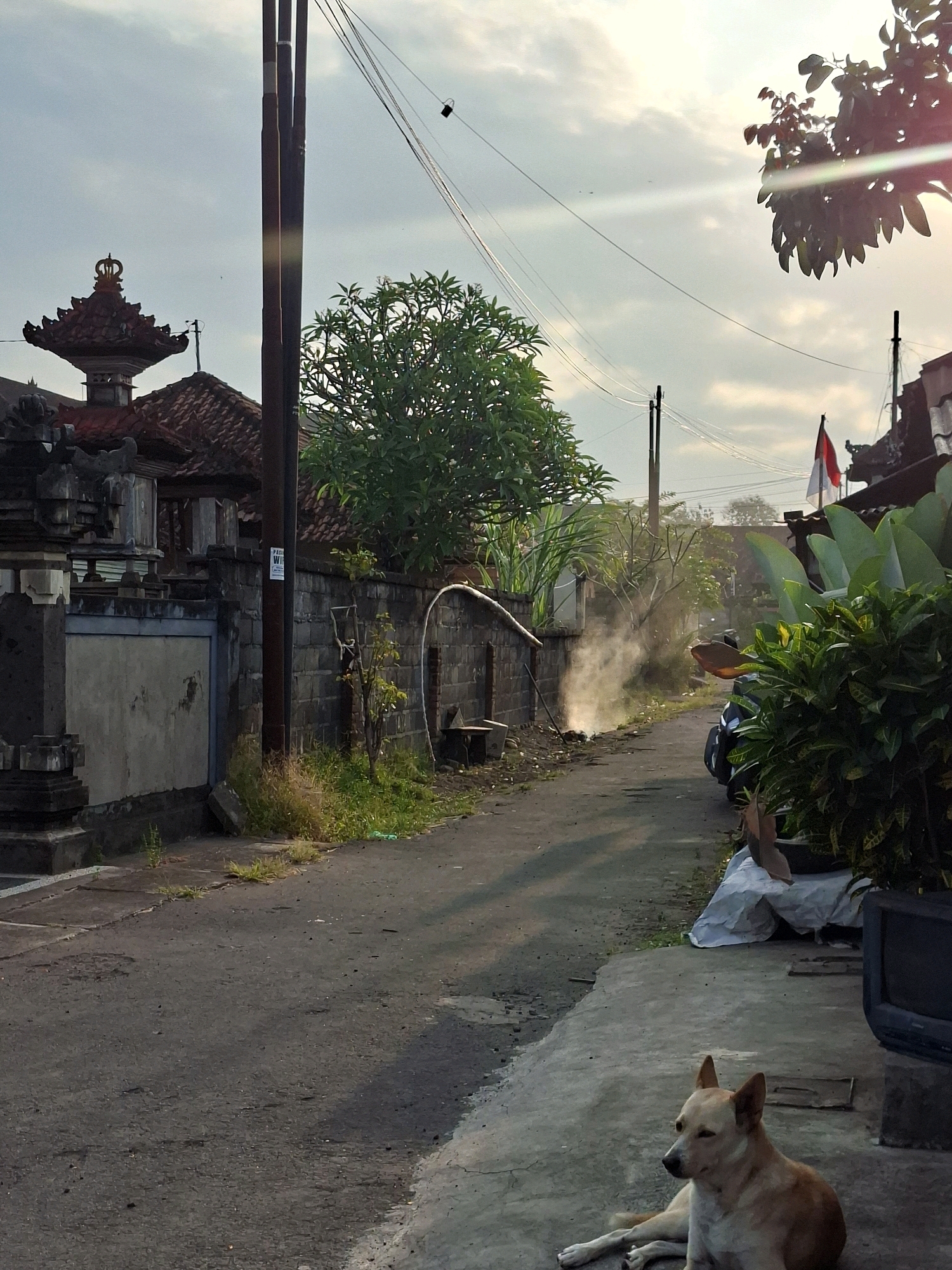The image depicts a narrow, paved street in Blahbatuh, Indonesia, likely a residential or village area. The scene is bathed in the warm light of what appears to be either sunrise or sunset, casting long shadows across the road and illuminating dust or smoke rising from a small fire on the left side of the street.
On the left, a traditional Balinese temple gate structure is visible, characterized by intricate stone carvings and a tiered roof topped with a decorative element. Adjacent to the gate is a rough-hewn stone wall. Further down the street, a large, leafy green tree grows, its branches reaching towards the sky. A wooden utility pole with electrical wires stretches across the upper portion of the frame.
On the right side of the street, lush green foliage spills over a wall, partially obscuring a red and white Indonesian flag fluttering from a pole. A scooter is parked near the flag. In the foreground, a light-brown dog is resting on a concrete path, looking to its left. Beyond the dog, a large, dark object that resembles an old television set is visible. The overall environment suggests a quiet, possibly rural or semi-rural setting within the town of Blahbatuh.