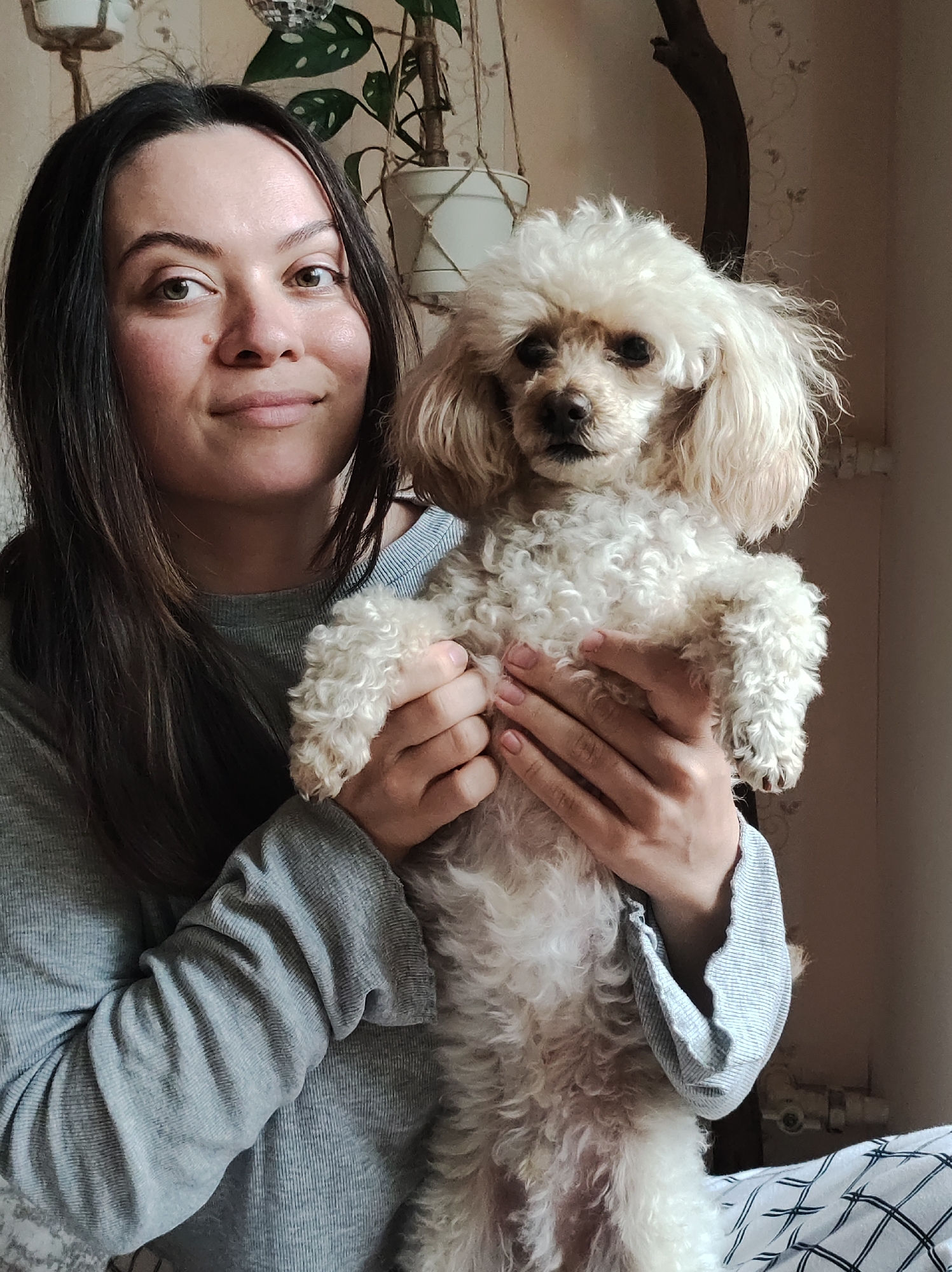 A woman holds a small, cream-colored poodle in her arms. The woman has dark hair, fair skin, and is wearing a gray, long-sleeved shirt. The poodle has curly fur and is facing forward. In the background, there's a houseplant in a white macrame hanger and a bare branch or decorative item. The wallpaper behind them is a light beige with a subtle floral or damask pattern. The location is Chaikovsky, Russia.