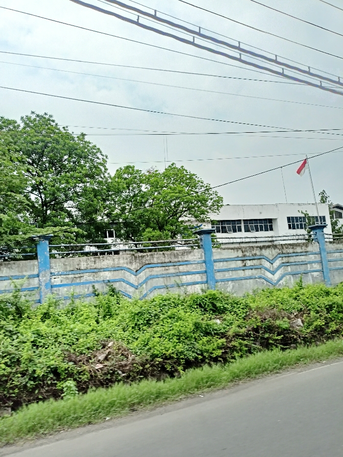 The image captures an outdoor scene, likely taken from a moving vehicle, showcasing a roadside view under an overcast sky. In the foreground, a dark asphalt road runs along the bottom left, bordered by vibrant green grass and dense, unkempt vegetation.

A prominent concrete wall extends across the midground, painted predominantly grey with a distinctive blue wavy pattern along its upper section. Sturdy blue pillars are integrated into the wall at regular intervals. Behind this wall, lush green trees and thick bushes partially obscure a white, single-story building featuring numerous rectangular windows.

Above the building and foliage, an Indonesian flag, with its iconic red and white horizontal stripes, can be seen flying on a flagpole, serving as a clear geographical indicator. The sky is uniformly overcast, suggesting a cloudy day rather than direct sunlight. Numerous utility lines or power cables stretch horizontally across the upper portion of the frame, intersecting the sky. No people or discernible activities are visible in the static landscape. The overall impression is that of a verdant, semi-urban or industrial area in Indonesia. No visible text is present.