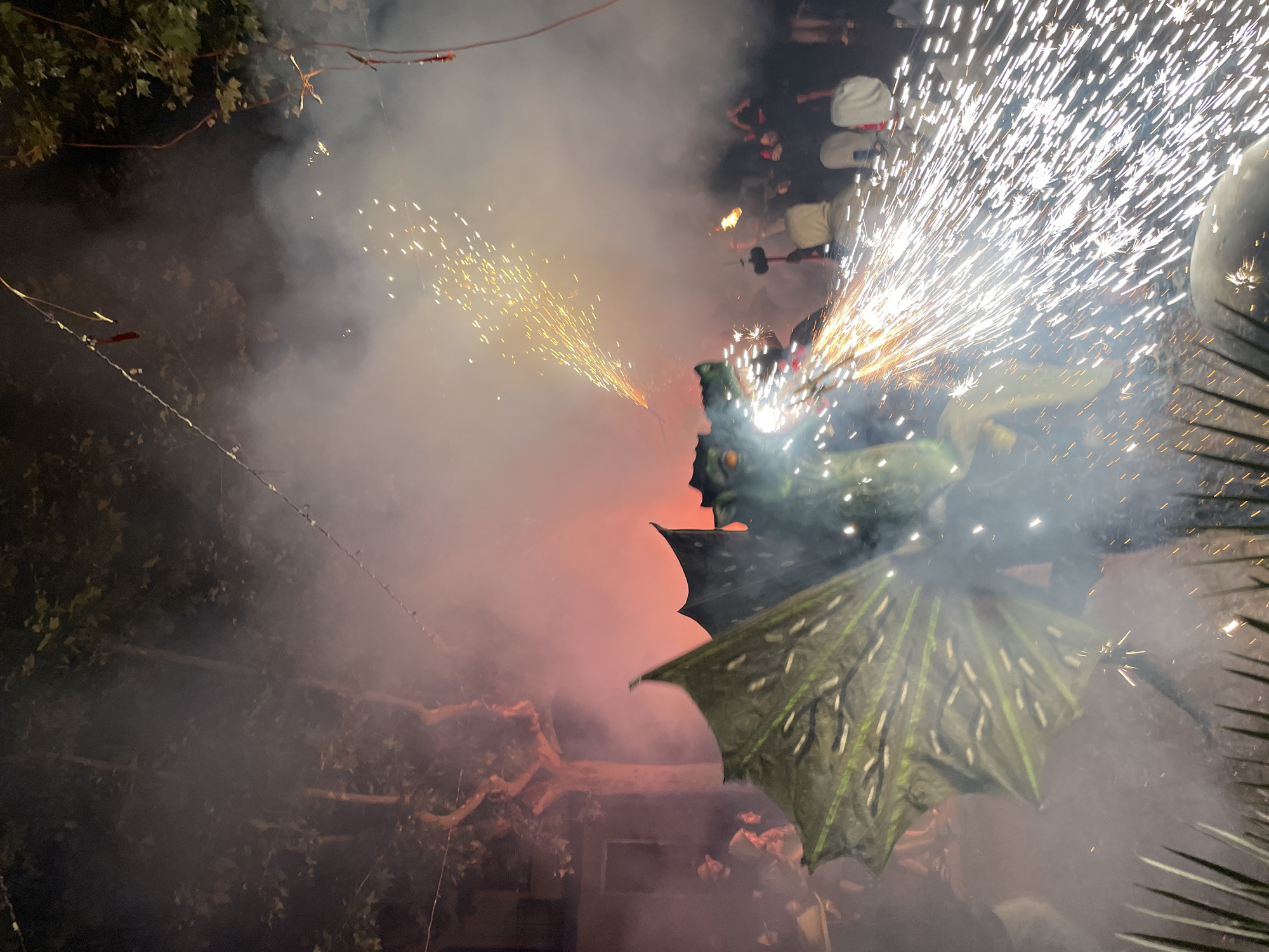 The image captures a nighttime festival scene in Canet de Mar, Spain, characterized by pyrotechnics and a large dragon effigy. The effigy, primarily green with striking wings, is the central focus, spewing a dense shower of bright white sparks from its mouth. The sparks create a dazzling effect, illuminated by the night sky and reflecting off surrounding elements.
Behind the dragon, a crowd of people is visible, many of whom appear to be participants or spectators in the event. Some are wearing distinctive hooded or masked costumes, suggesting a traditional or ritualistic element to the festival. They are observed from various distances, some closer to the action, others further back. The environment includes trees with dark foliage, hinting at an outdoor setting, possibly a town square or a park area within Canet de Mar. String lights are faintly visible overhead, strung between trees, adding to the festive ambiance. The overall impression is one of a dynamic and energetic celebration, with the dragon effigy and fireworks creating a dramatic spectacle. The red glow emanating from the background suggests other light sources or more pyrotechnics, contributing to the overall atmosphere of a lively event.