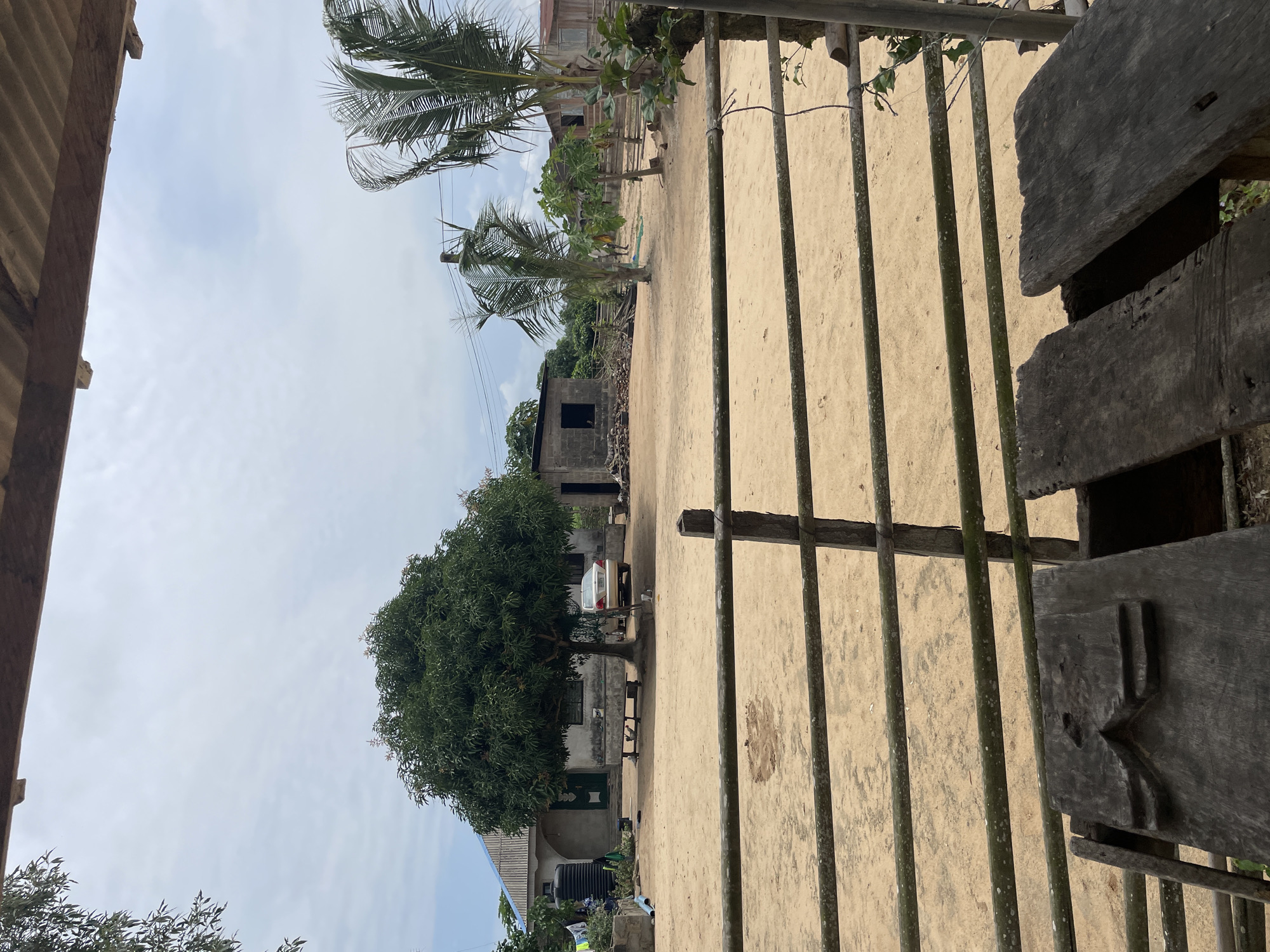 The image depicts an outdoor scene in Iyafin, Nigeria. The foreground features a weathered wooden structure, possibly a bench or table, with rough-hewn planks. Behind this, a rustic fence constructed from horizontal wooden poles supported by vertical posts separates the viewer from the yard. The yard itself is sandy, with patches of dried earth and sparse vegetation.
In the mid-ground, a large, mature tree with dense green foliage dominates the center of the scene. To the left of the tree is a simple, single-story house with a grey, angled roof and a green door. A large black water tank stands next to the house. A light-colored sedan is parked on the dirt in front of the house, beneath the tree. To the right of the house, a smaller, unfinished structure made of concrete blocks is visible. Further to the right are palm trees, one of which has fronds that are blowing in the wind. A few other buildings with various roofing materials are scattered throughout the background. The sky is overcast, with a pale, cloudy appearance. The overall impression is one of a rural or semi-rural residential area.