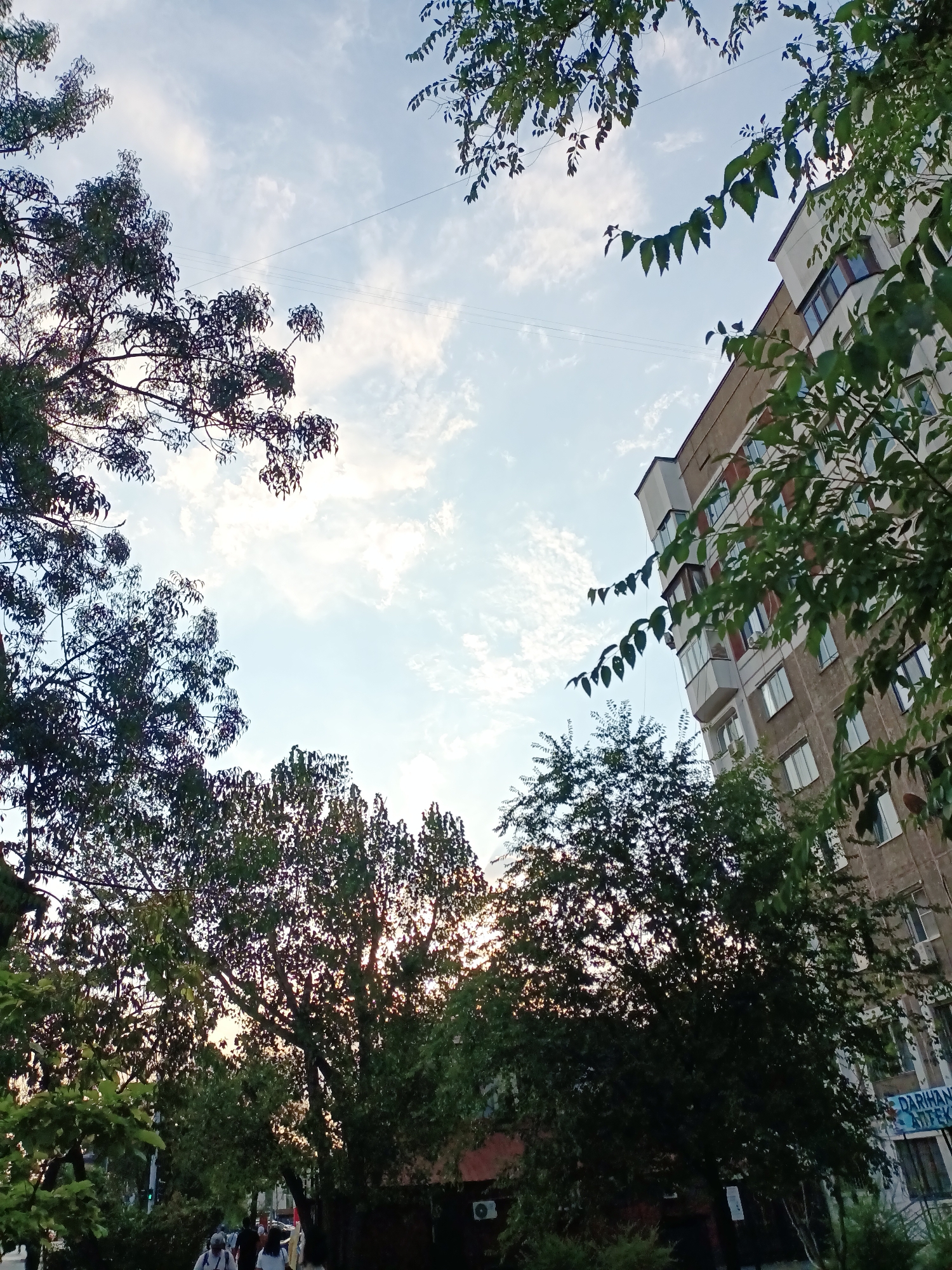 This image depicts a view looking upwards towards the sky from ground level, framed by trees and a building. The sky is partially cloudy, with patches of blue visible. Overhead, power lines are strung across the frame.
On the right side of the image is a multi-story building, likely an apartment building, with a light-colored facade and numerous windows. Some of the windows have balconies. The building appears to be constructed from concrete and possibly brick.
In the foreground and framing the sky, are the canopies of several trees with dark green leaves. The leaves are densely packed, and the trees are silhouetted against the brighter sky, with sunlight filtering through them in some areas. The setting sun casts a warm glow through the foliage.
At the bottom of the image, some people are visible walking, suggesting a street or park area. The overall impression is an urban environment where nature, specifically trees, intermingles with man-made structures. Given the context provided, this scene is located in the city of Almaty, Kazakhstan.