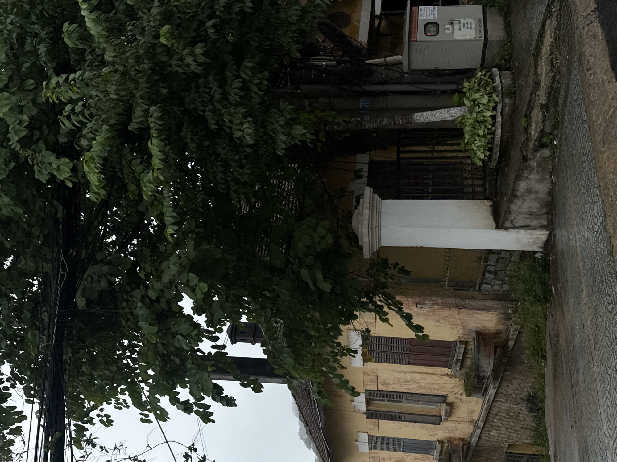 This is a medium shot of a yellow, aging building with a dark tiled roof, partially obscured by lush green foliage from a large tree. The building has several shuttered windows, some a dark brown and others a lighter gray. A stone retaining wall with a textured, cobblestone-like surface slopes upwards towards the left side of the building. To the right of the building, there is a white pillar, a black metal gate, and a grey electrical box with signage. The scene appears to be on a street with a patterned, wet asphalt surface. The overall impression is one of a weathered, possibly historical, structure in a humid, vegetated environment, likely in the city of Da Lat, Vietnam, known for its French colonial architecture and lush landscapes.