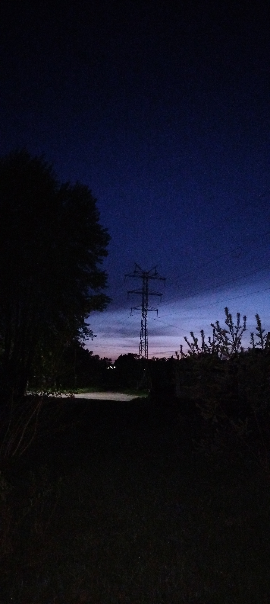 The image shows a dimly lit, outdoor scene at twilight or night, possibly in Chaikovsky, Russia. An electrical transmission tower is the central subject, situated in a clearing beyond a poorly lit path. The sky is a mix of dark blue and faint orange near the horizon. Trees and vegetation are silhouetted in the foreground, obscuring the immediate foreground. The ground is dark, suggesting a grassy or unpaved area. No people or interactions are visible. The overall environment appears rural or on the edge of an urban area.