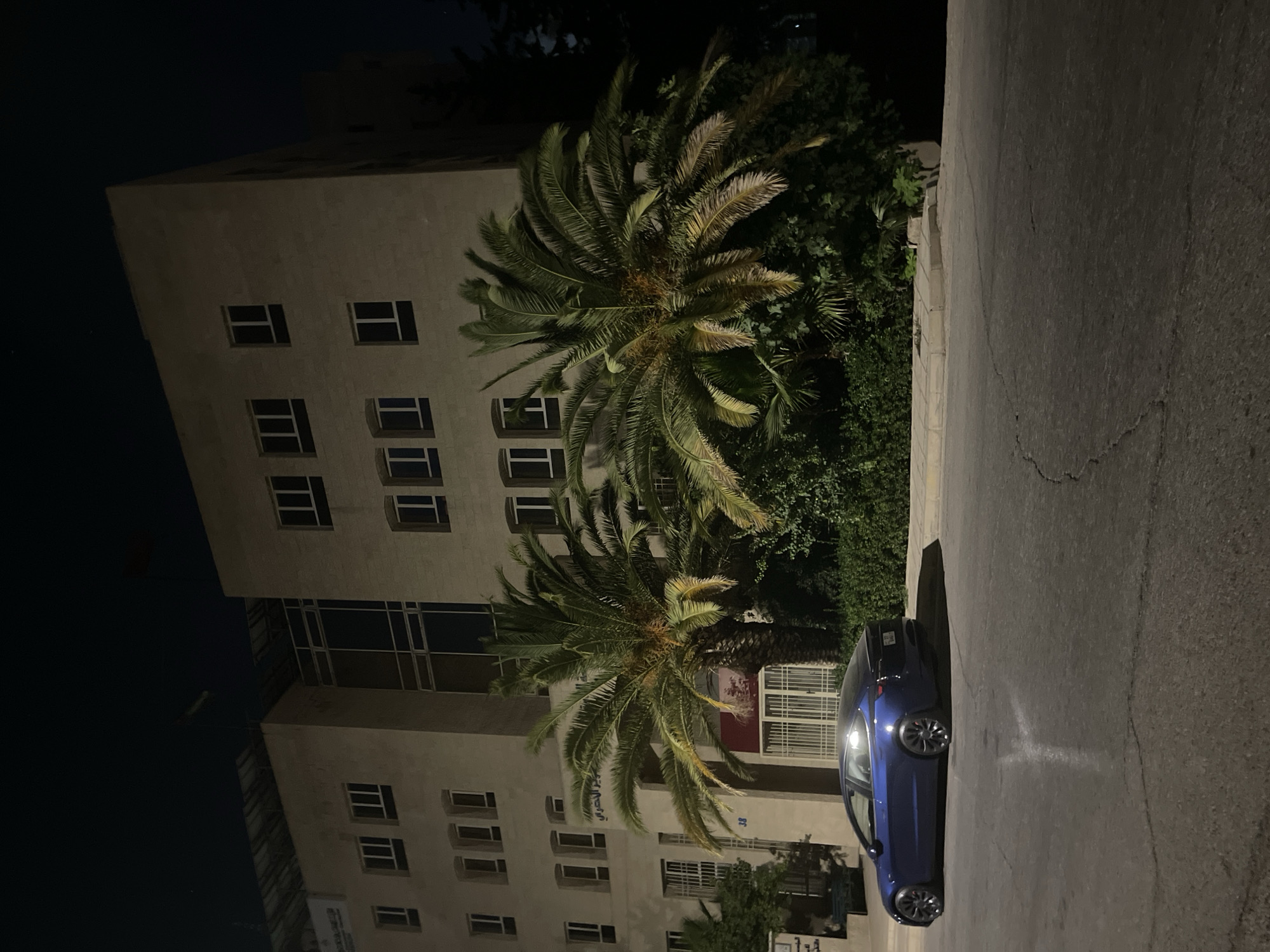 In Amman, Jordan, at night, a blue Tesla Model 3 is parked on the side of a street in front of a large, beige, multi-story building. The building has numerous rectangular windows, some of which are illuminated from within. Two large palm trees with lush green fronds flank the entrance to the building. The street in the foreground is paved and shows signs of wear, with visible cracks. The sky above is dark, indicating it is nighttime. The scene is static with no people or discernible actions taking place.