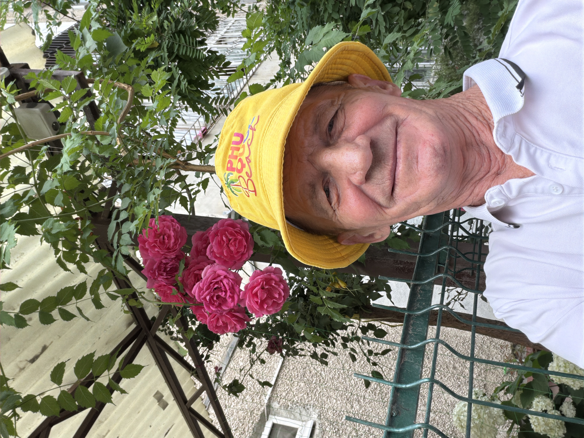 An outdoor, medium shot, chest-up selfie shows a man wearing a yellow bucket hat with a palm tree and "Phu Quoc Beach" printed on it, and a white collared polo shirt. He is smiling slightly and looking at the camera. The man has fair skin, short gray hair, and visible wrinkles on his face and neck. Behind him, pink roses are blooming on a vine that grows up a trellis with a corrugated roof. A green metal fence is visible in the foreground, and a textured building with windows is in the background. The scene is set in an urban environment, possibly a backyard or balcony.
