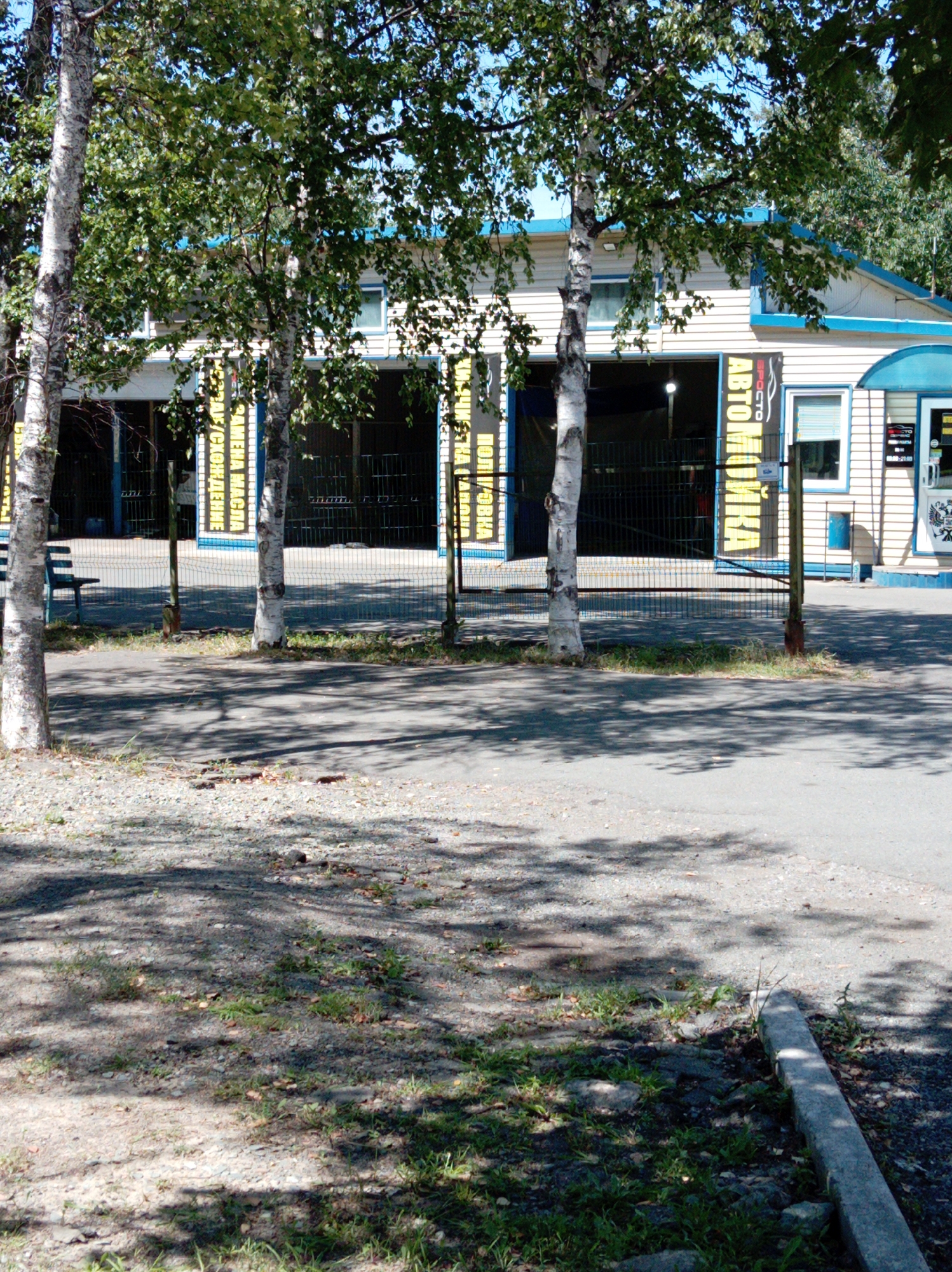 The image shows an exterior view of a commercial building, likely an automotive service center, located in the city of Artyom, Russia. The building has a light-colored facade with blue trim. Two large, open bays are visible, suggesting they are garages or service areas. Bright yellow signage with dark text is displayed vertically on the building, with the Cyrillic letters "АВТОМИКА" (Avtomika) being clearly legible. A metal fence runs along the front of the building, separating it from a paved area and a gravelly section of ground. Several trees with white bark and green foliage are positioned in front of the building, casting shadows on the ground. A dark blue bench is visible to the left of the frame, near the fence. The overall environment appears to be an urban or suburban setting on a sunny day, with evidence of vegetation and typical street infrastructure.