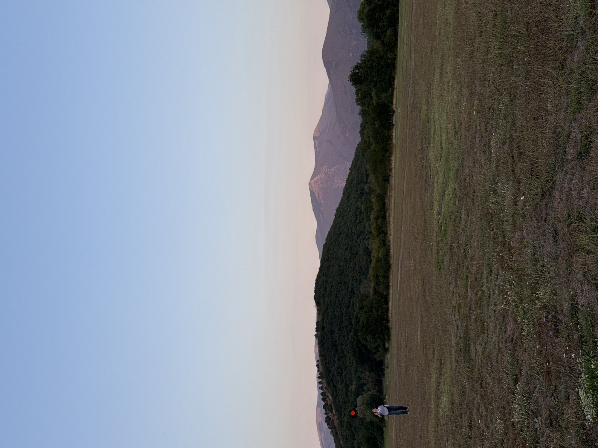 The image captures a wide landscape scene in the vicinity of Orlinovskiy District, Ukraine. A person is standing in a vast, dry grassy field, holding a red balloon above their head. The person is wearing a blue and white striped shirt and blue jeans. In the background, a densely wooded hill rises, topped with a line of trees. Further in the distance, majestic mountains form the horizon, their peaks softened by the twilight sky, which transitions from a pale blue at the top to a faint pinkish hue near the mountains. The overall impression is one of a serene, natural environment at dusk.