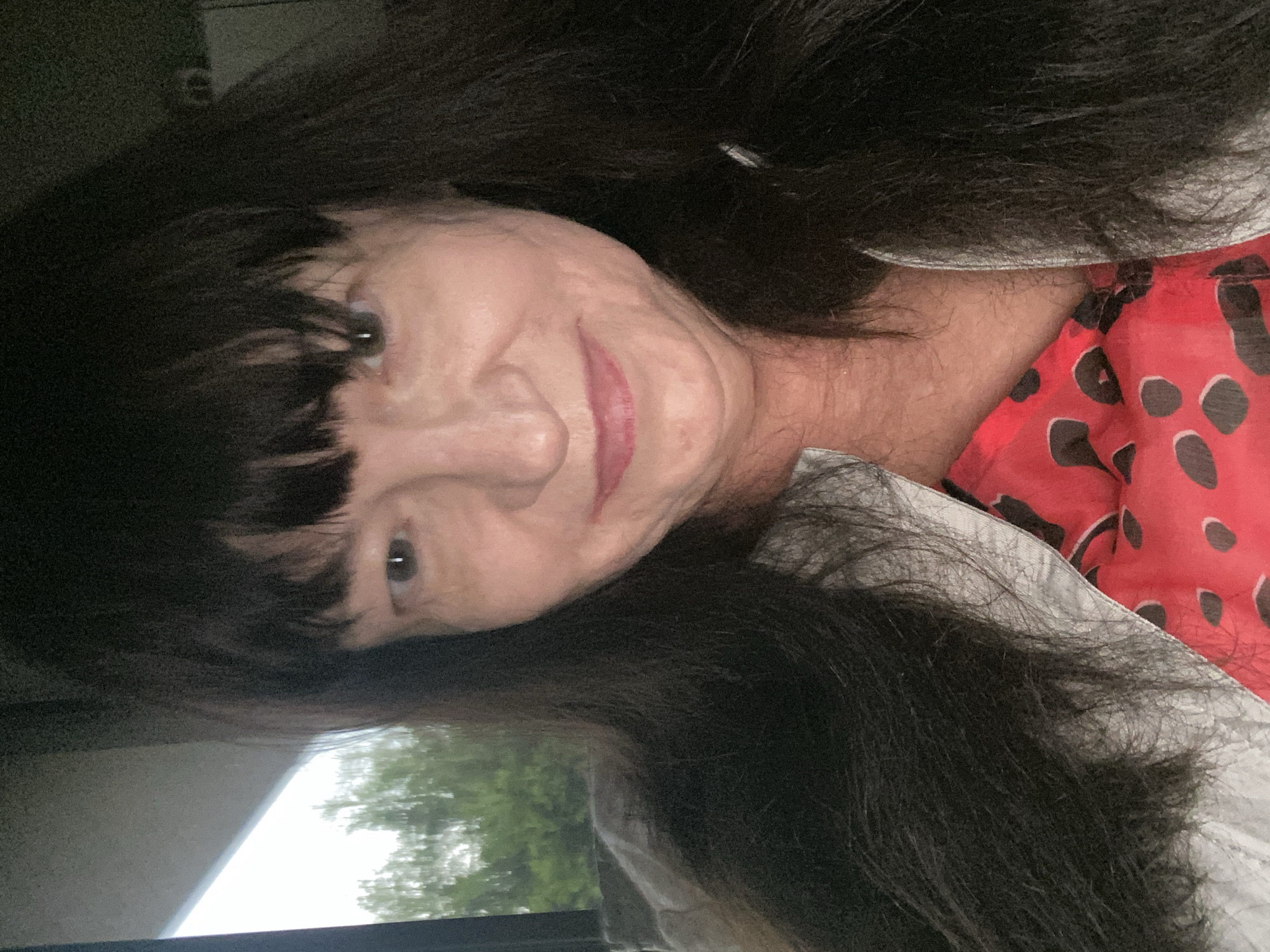 A woman with long dark hair and bangs, wearing a silver jacket over a red top with black polka dots, is photographed from the chest up. She is looking towards the camera with a slight smile. The background shows a blurred view of green trees and a bright sky through a window, suggesting the image was taken in a vehicle. The location is identified as Novi Petrivtsi, Ukraine.