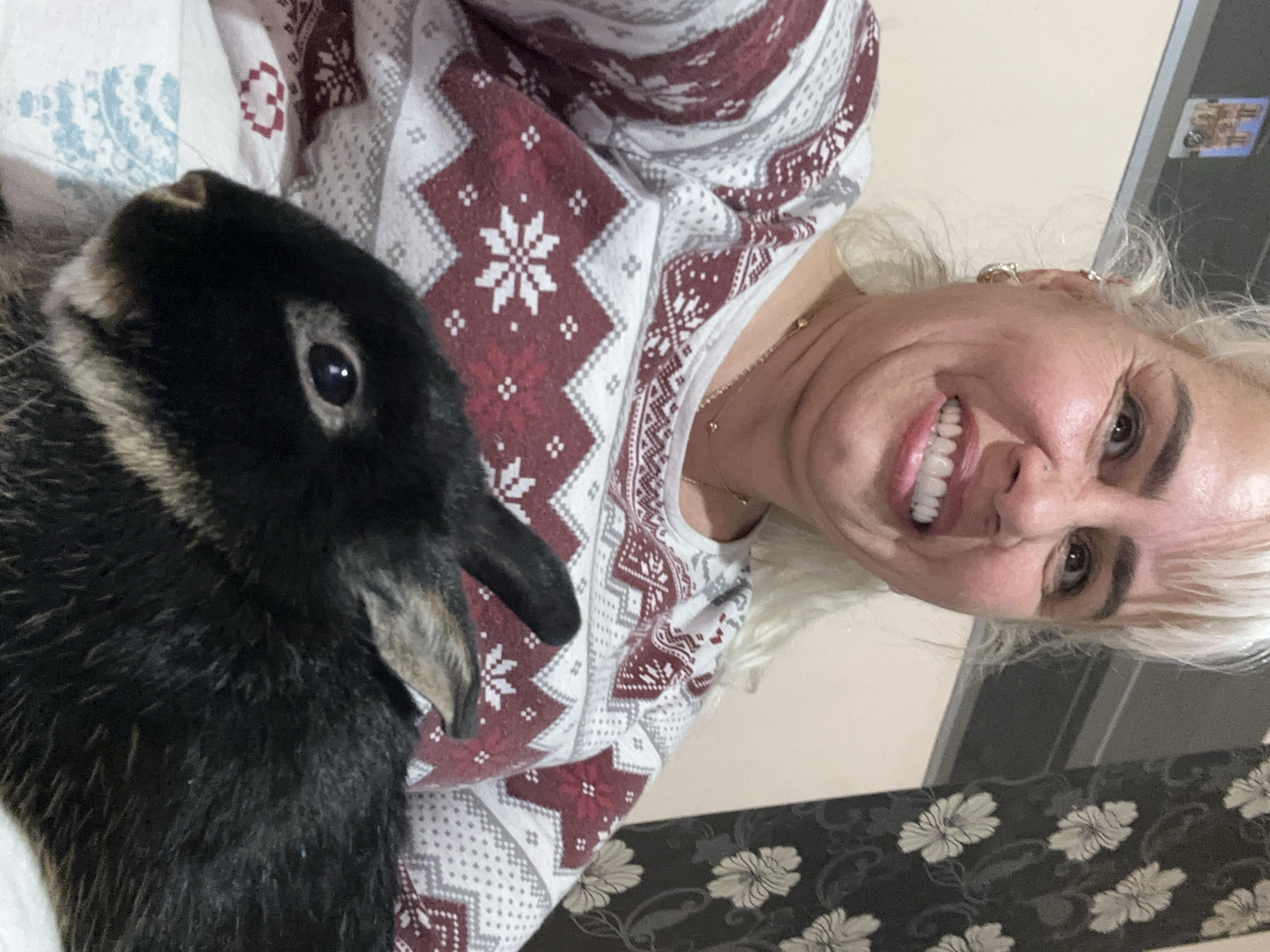 The image depicts a woman holding a dark-furred rabbit. The woman is smiling and appears to be taking a selfie. She has blonde hair and is wearing a Christmas-themed sweater. The rabbit is mostly black with some brown markings and is looking at the camera. The background includes a patterned blanket or sheet, and part of a wall is visible. The location cannot be determined from the image.