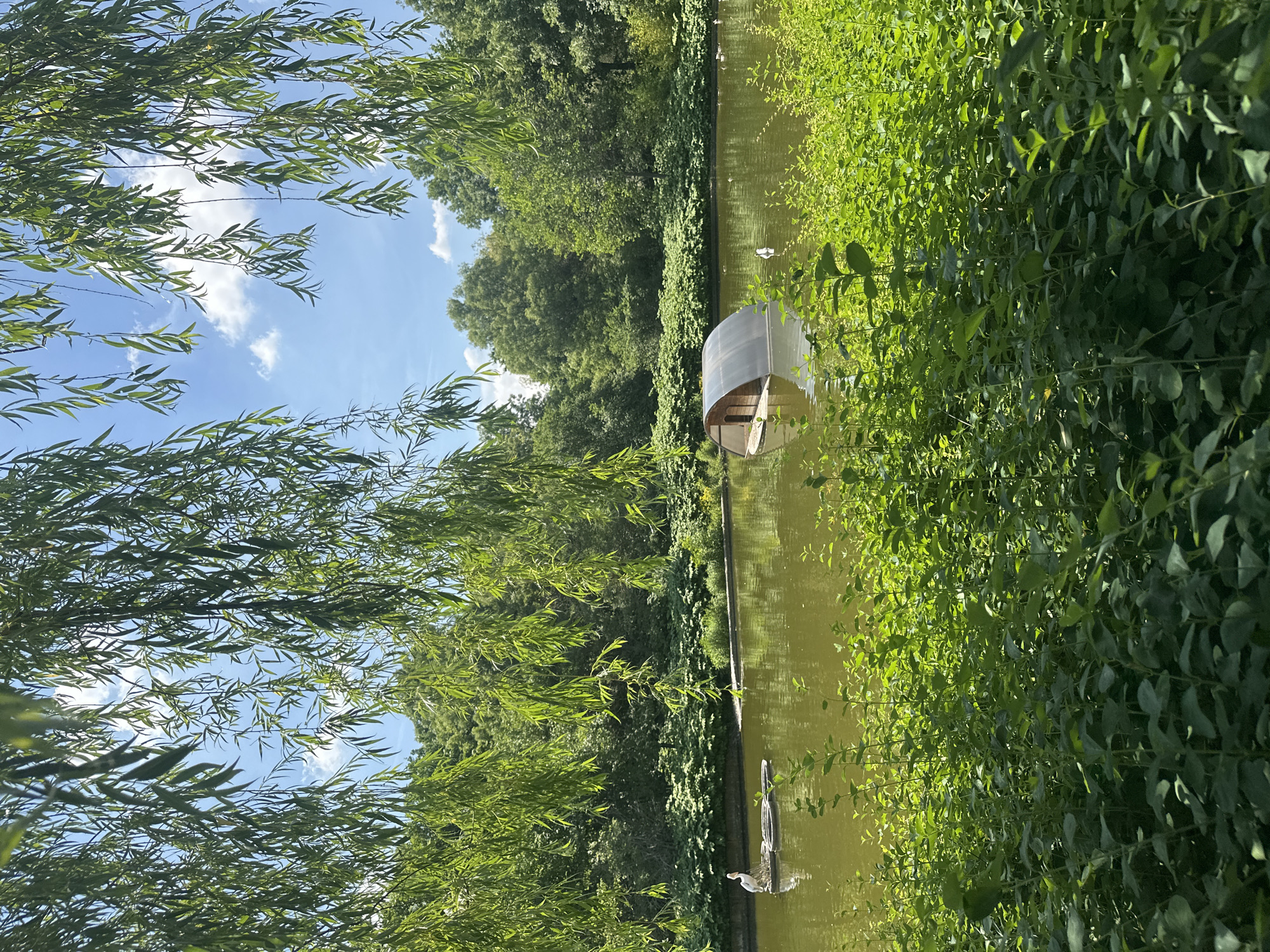A serene park scene is depicted, likely in Sofia, Bulgaria, featuring a tranquil body of water. The foreground is dominated by lush, green foliage, some of which hangs from weeping willow branches overhead, partially obscuring a bright blue sky with scattered white clouds. In the middle ground, the murky green water of a pond or lake reflects the surrounding greenery.
On the water, several elements are visible. To the left, a white bird, possibly a stork or heron, stands on a raft-like structure made of intertwined rings. Further into the pond, a small, arched duck house with a wooden base and a transparent or dark-colored roof floats. In the distance, more greenery forms a dense backdrop, with trees creating a natural boundary around the pond. Several birds, likely ducks, are scattered across the water's surface. The overall impression is one of a peaceful natural setting within an urban environment.