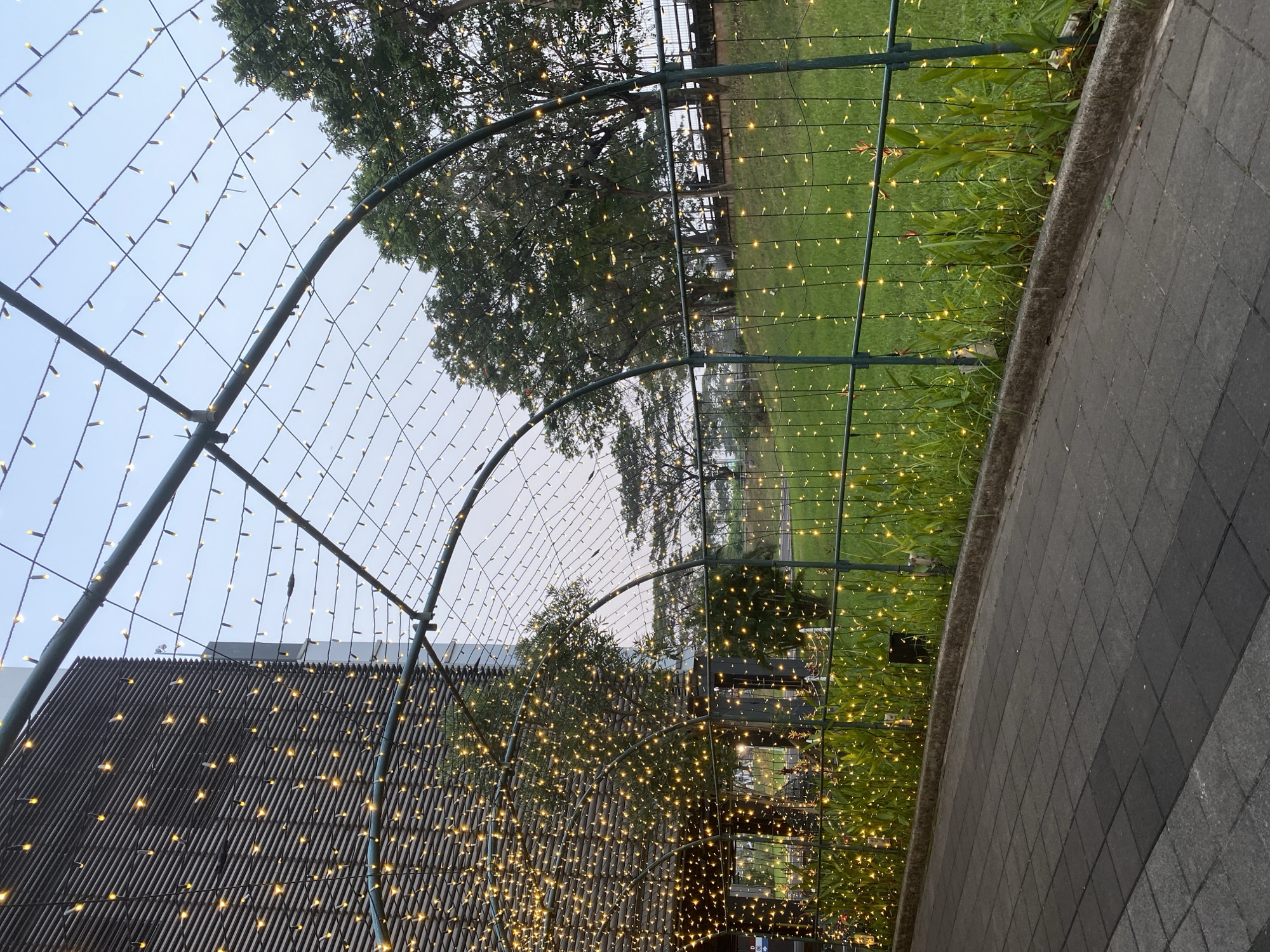 The image captures an outdoor walkway lined with lush green grass and plants, illuminated by numerous small, warm-toned string lights. A dark grey tiled pathway runs along the foreground, leading towards the right of the frame. Overhead, a green metal archway structure is draped with more string lights, creating a tunnel effect. To the left, a dark, textured building facade with horizontal louvers is visible, also adorned with a dense arrangement of the same string lights. In the background, a row of green trees stands against a pale sky, suggesting it might be late afternoon or early morning. The scene evokes a festive or decorative ambiance, possibly in an urban park or a commercial area in East Jakarta, Indonesia, given the architectural style and vegetation. No people are visible in the frame.