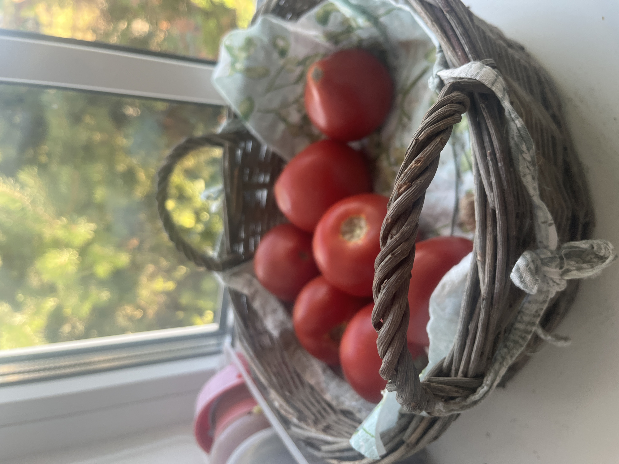 A woven basket filled with seven ripe red tomatoes sits on a windowsill. The basket is lined with a light-colored fabric with a floral pattern. The background shows a blurred view of green foliage through a window, suggesting an outdoor natural environment. The lighting is natural, coming from the window. The image does not contain any information to indicate it is located in Vladimirovka, Russia.