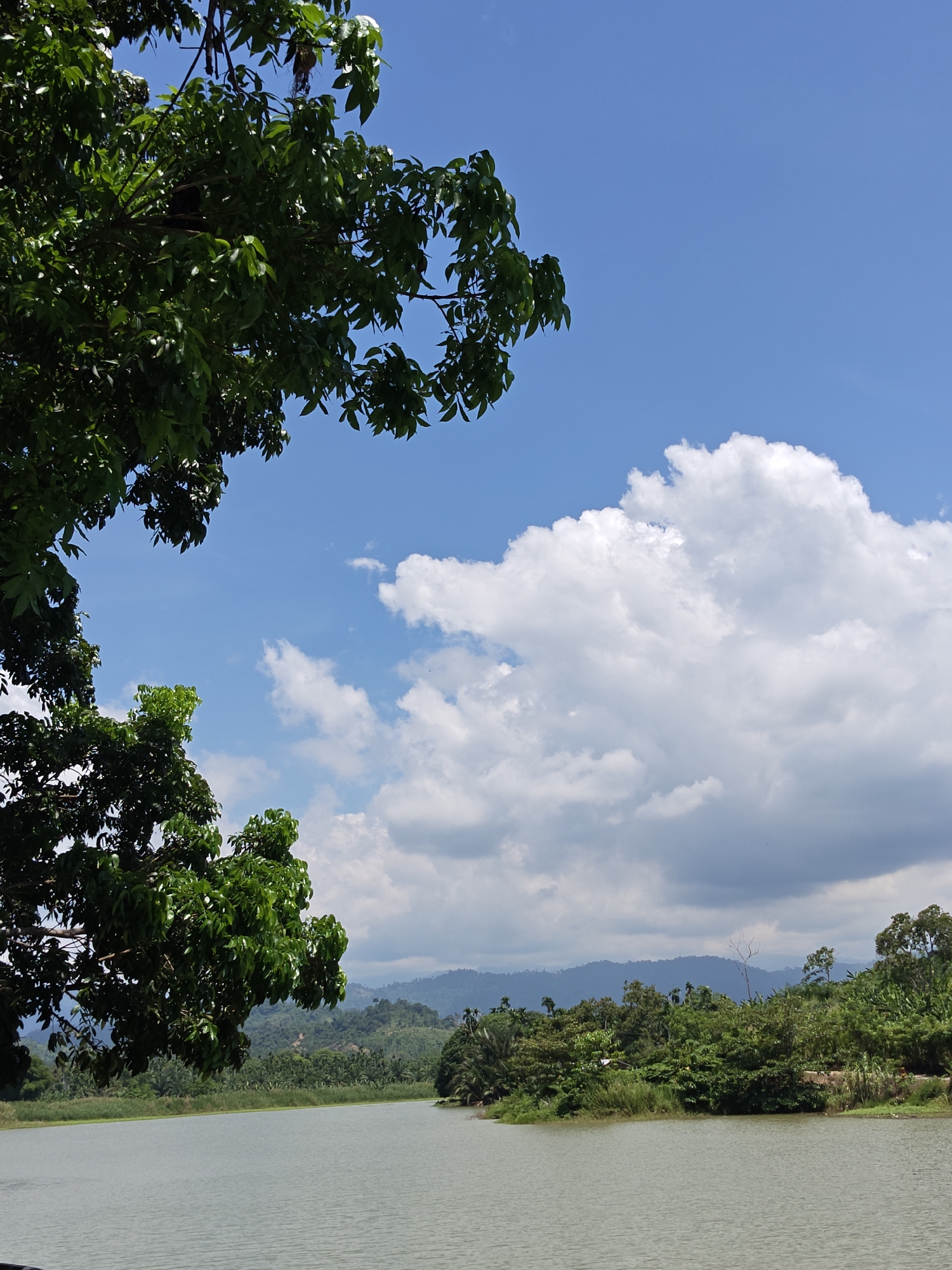 The image presents a scenic view of a body of water, likely a lake or wide river, with lush vegetation lining its banks. In the foreground, the water surface is relatively calm and greyish. The shoreline is dense with various green plants and trees. In the background, rolling hills covered in forests can be seen. The sky takes up a significant portion of the image, displaying a blue hue dotted with fluffy white clouds. Parts of a tree with dense green foliage are visible in the upper left corner of the frame, acting as a partial frame for the scene. There is no immediate evidence of human presence or infrastructure in the immediate view. The location is presumed to be Garab, Indonesia, based on the prompt.