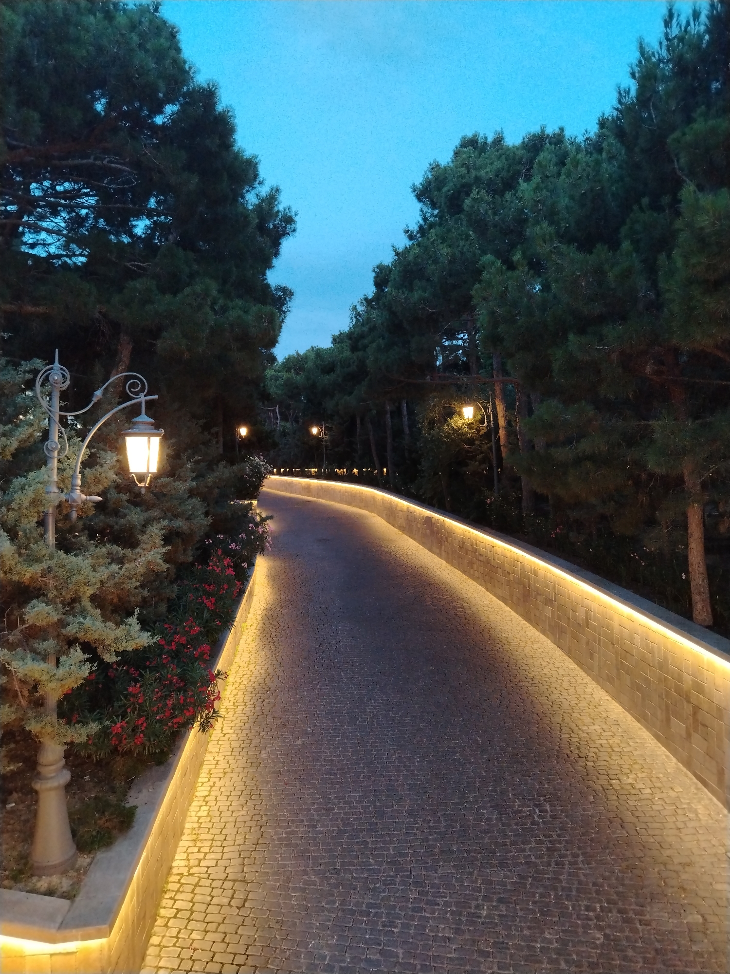 The image shows a paved walkway in a park in Sabail Raion, Azerbaijan, at dusk or early night. The walkway is lined with an illuminated wall on the right and dense trees on both sides. A vintage-style lamppost with a glowing lantern stands on the left, illuminating the surrounding bushes and red flowers. The sky is a deep blue, indicating the transition from day to night. The walkway appears to be made of cobblestones. There are no people visible in the scene.