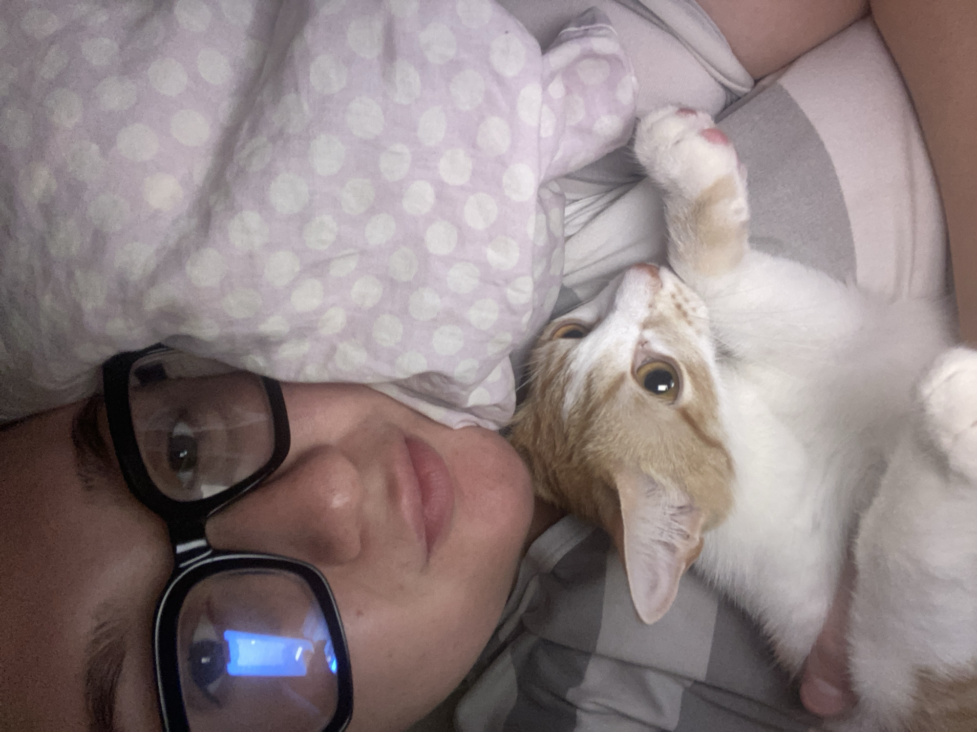 The image depicts a close-up, intimate scene indoors, likely in Chaikovsky, Russia, featuring a person and their pet cat resting together. A person, appearing to be a woman, is shown from an upward angle, with the left side of her face partially visible. She wears black-framed glasses, in which a distinct blue reflection, possibly from a digital screen, is visible. Part of her head is covered by a light purple pillow or blanket adorned with white polka dots.
Lying alongside and head-to-head with the person is an orange and white cat. The cat is positioned on its back, with its white underside exposed and one paw playfully raised, revealing small pink toe beans. Its ears are perked slightly, and its large, amber-colored eyes are open and attentive. Both the person and the cat are nestled against a grey and white striped sheet or blanket. The setting suggests a comfortable and relaxed environment, possibly a bed or couch. The overall mood conveys warmth, companionship, and a sense of peaceful coexistence between the human and the feline. The specific time of day or weather conditions are not discernible from the indoor setting. No visible text is present in the image.