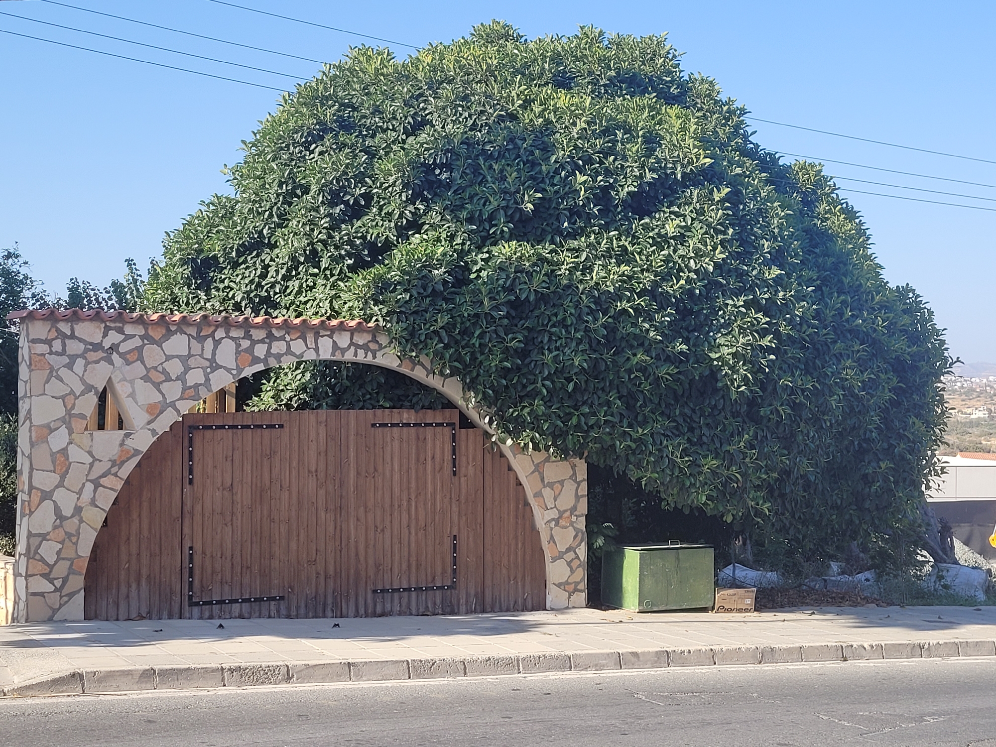 The image shows a street scene in Episkopi, Cyprus. In the foreground, there is a paved road and a concrete sidewalk. Behind the sidewalk is a stone wall with a large wooden gate. A very large, dense green tree grows over and around the wall and gate. To the right of the gate, there is a green metal dumpster. Further to the right, a cardboard box with the word "Pioneer" is visible. In the background, there are some buildings and a hillside with more structures. The sky is clear and blue, with three thin power lines visible across the top of the frame.