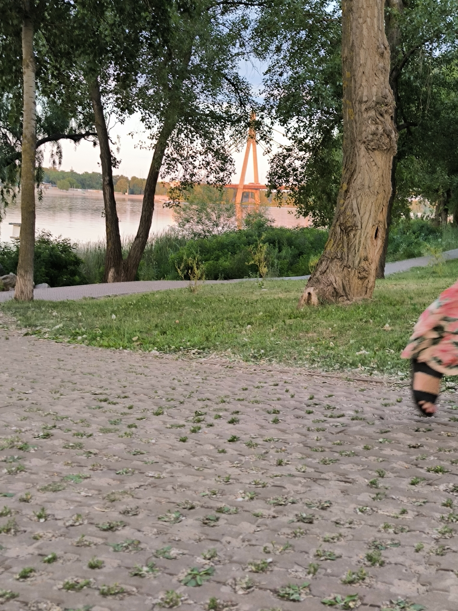 This is a medium shot of a park scene in Kyiv, Ukraine, featuring a waterfront, trees, and a paved walkway. In the foreground, a person's legs and feet are visible, with one leg crossed over the other. They are wearing black sandals and a floral-patterned dress. The ground in the foreground is a textured, light-colored paving made of interlocking stones with small patches of grass growing between them.
Beyond the paved area, there is a strip of green grass with scattered dandelions. A curved paved walkway is visible further back, running parallel to the waterfront. Several trees with lush green foliage stand in the mid-ground. Two prominent trees are in the left of the image, with a third, thicker tree to the right, its bark rough and textured.
The background showcases a calm body of water, likely a river or lake, reflecting the soft, pastel hues of the sky, suggesting it is either sunrise or sunset. Across the water, a distant orange-colored structure, possibly a bridge or monument, is partially obscured by trees and vegetation. The overall atmosphere is serene and peaceful, with the gentle light indicating a pleasant time of day. There is no visible text in the image.