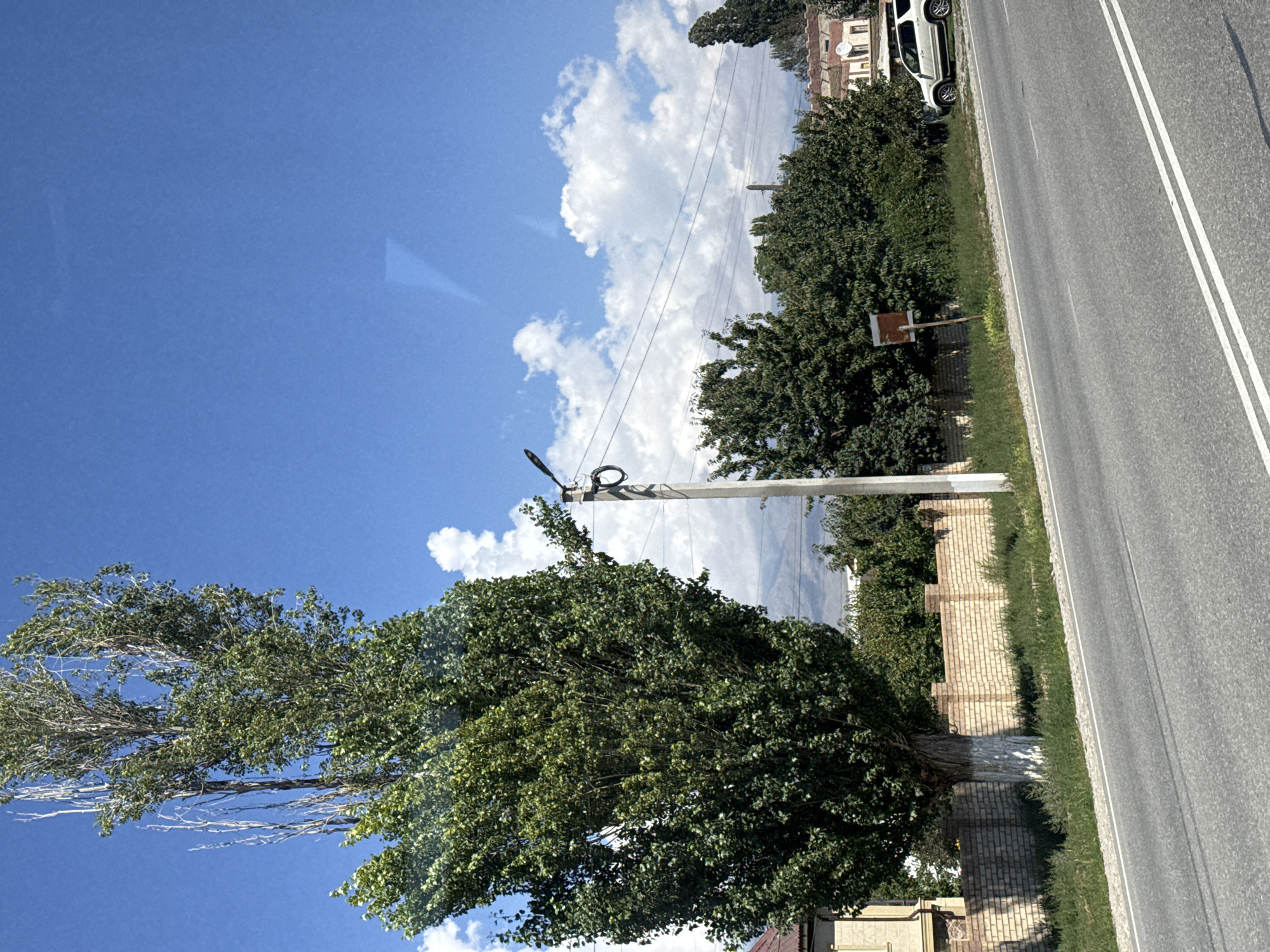 In Tamchy, Kyrgyzstan, a tall, slender tree with vibrant green leaves dominates the left side of the image. Its trunk is partially painted white. Behind the tree, a brick fence with a light brown hue stretches across the scene. A paved road runs diagonally from the foreground to the right. A white SUV is parked on the right side of the road, partially obscured by trees. A concrete utility pole with a lamp and wires is situated near the center of the image. The background consists of lush green trees and buildings, with distant mountains visible under a bright blue sky dotted with white, fluffy clouds. The overall environment appears to be a rural or semi-rural area on a sunny day.