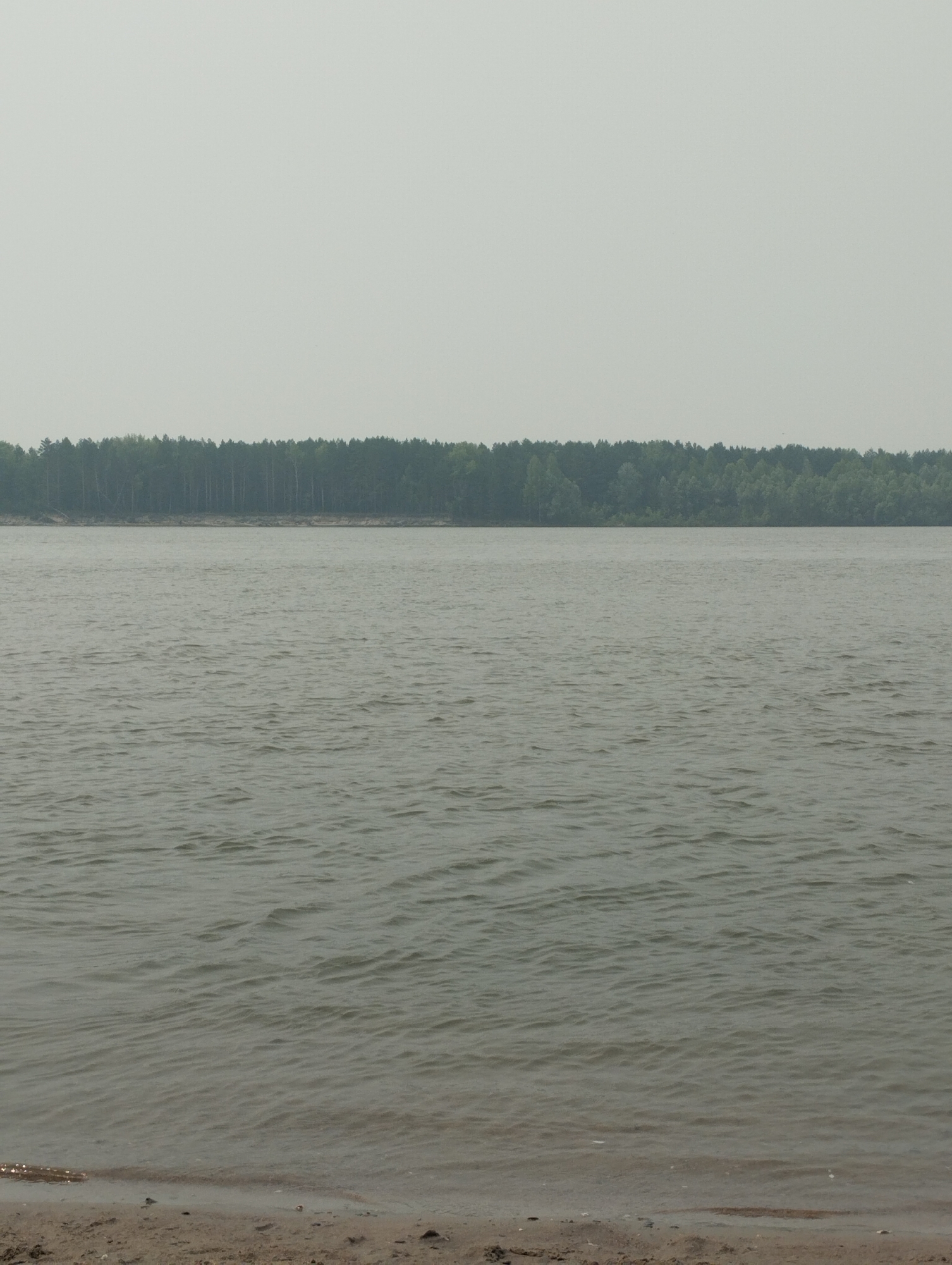 The image depicts a wide river in Bibikha, Russia, under a hazy sky. The foreground shows a sandy shore with small stones and debris. The middle ground is dominated by the rippling surface of the water, which appears greyish-green and somewhat murky. In the background, a dense line of dark green trees forms a forest along the opposite bank of the river. The overall atmosphere is subdued and overcast, suggesting a cloudy or smoky day. There are no people or man-made structures visible in the frame.