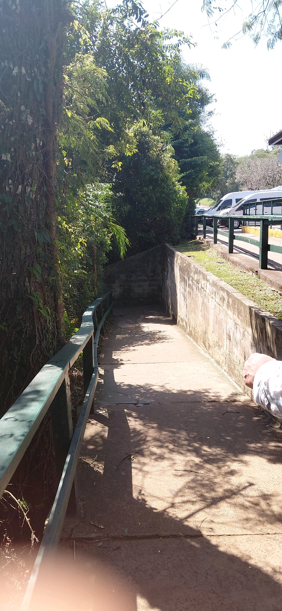 The image shows a concrete walkway bordered by a green metal railing on the left and a rough concrete wall on the right. The walkway slopes downwards into the distance, where it appears to lead into a shaded area. Lush green foliage, including trees and vines, grows on the left side of the walkway, casting dappled shadows onto the path. On the right side, beyond the concrete wall, there is a paved area with more vegetation and a row of white vehicles, possibly vans or minivans, parked in the background. The sky is bright and appears to be clear. A person's arm and shoulder, wearing a white shirt, are visible in the lower right corner of the image, reaching out towards the walkway. The scene appears to be outdoors, possibly in a park or a commercial area.