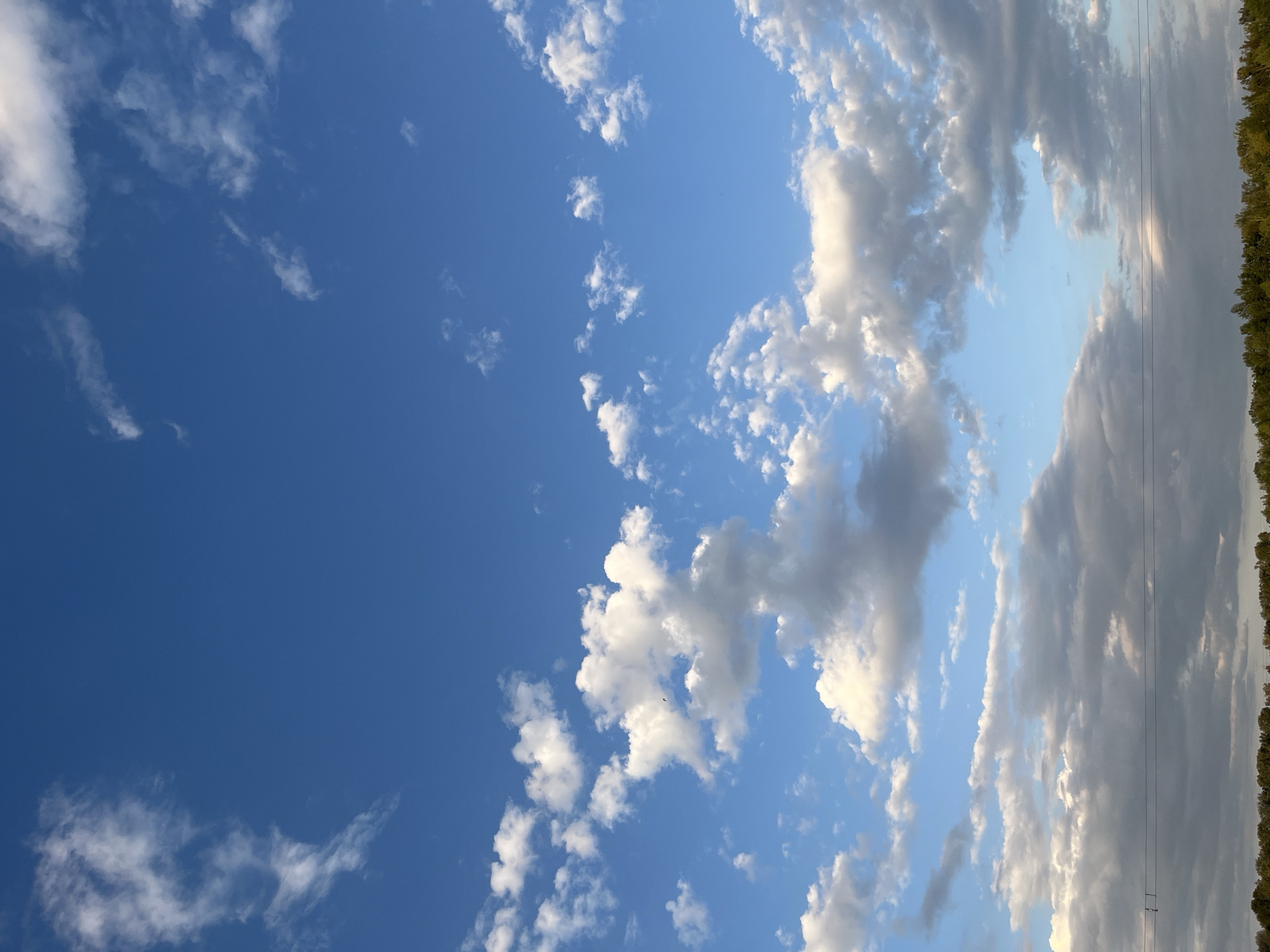 The media file depicts a sky with a clear blue expanse on the left, gradually transitioning to a more overcast sky on the right. Scattered white clouds are visible throughout the frame, with some appearing wispy and thin, while others are more voluminous and textured. Towards the right edge of the image, a line of dark green trees forms a dense horizon, suggesting a natural landscape. Faint power lines are also visible against the sky, hinting at the presence of infrastructure. The lighting suggests it is either early morning or late afternoon, with sunlight filtering through the clouds and casting soft shadows. The overall impression is one of a serene, open sky, possibly captured in a rural or suburban setting in Dnipro, Ukraine. There is no discernible text in the image.