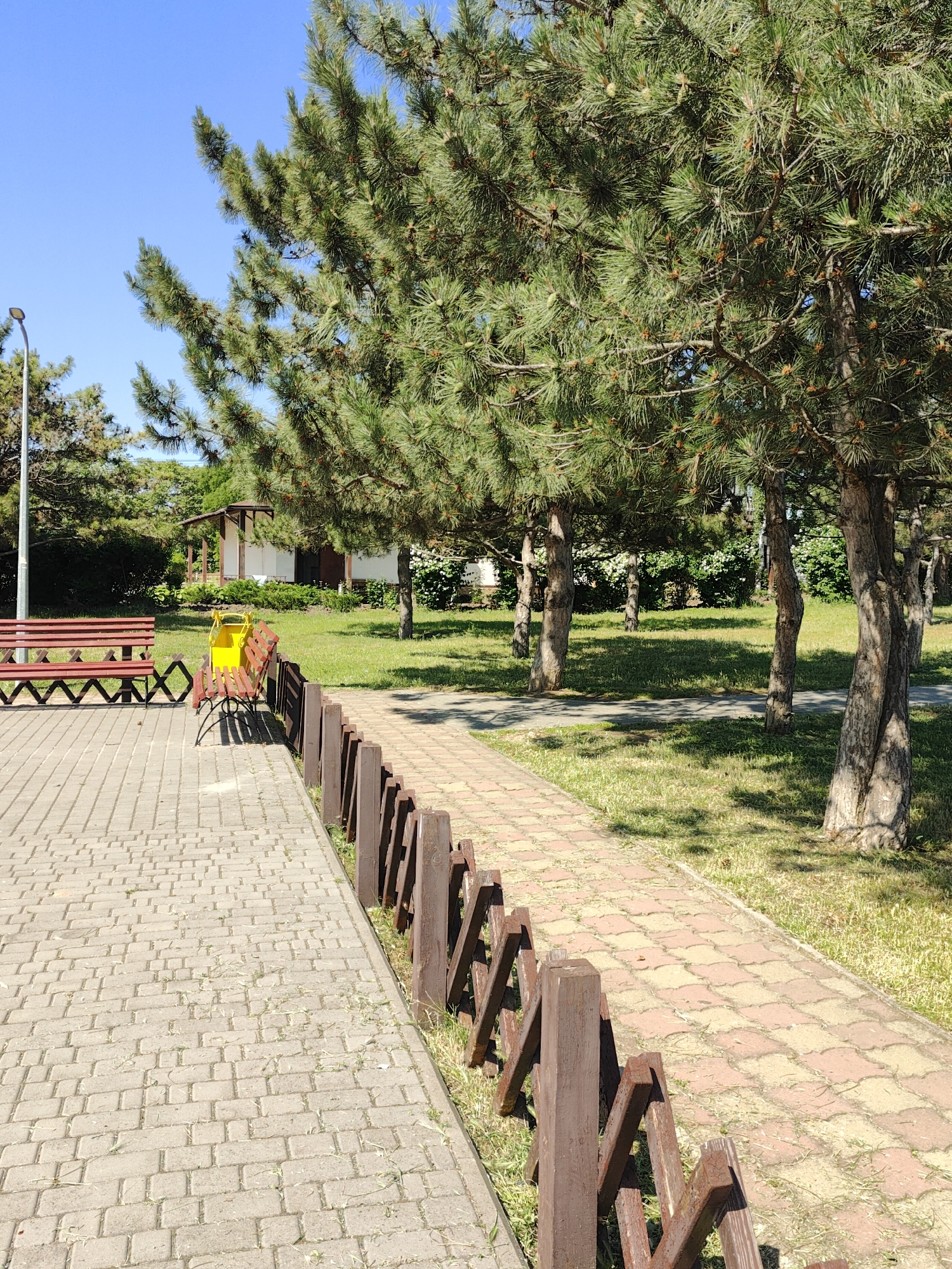 This bright outdoor image showcases a serene park or recreational area, likely in Chornomorsk, Ukraine, under clear blue skies and bright sunshine. The scene is dominated by lush greenery, primarily numerous tall pine trees with long green needles, their sturdy trunks visible and casting strong shadows on the grass, suggesting it's mid-morning or early afternoon.
In the foreground, a wide paved walkway made of light grey rectangular pavers extends from the bottom left. Parallel to it, a narrower pathway of reddish-brown interlocking pavers is separated by a low, dark brown wooden barrier composed of angled posts.
To the left of the foreground path, two park benches with red-brown wooden slats are visible, accompanied by a bright yellow trash can placed between them. A tall, slender streetlight stands at the far left. In the mid-ground, beyond the trees and grass, a small, simple building with a light-colored facade and a dark roof can be seen amidst the foliage. The ground is covered with vibrant green grass, showing patches of sunlight and shade. The scene is devoid of people, conveying a peaceful and tranquil atmosphere. No discernible text is visible in the image.