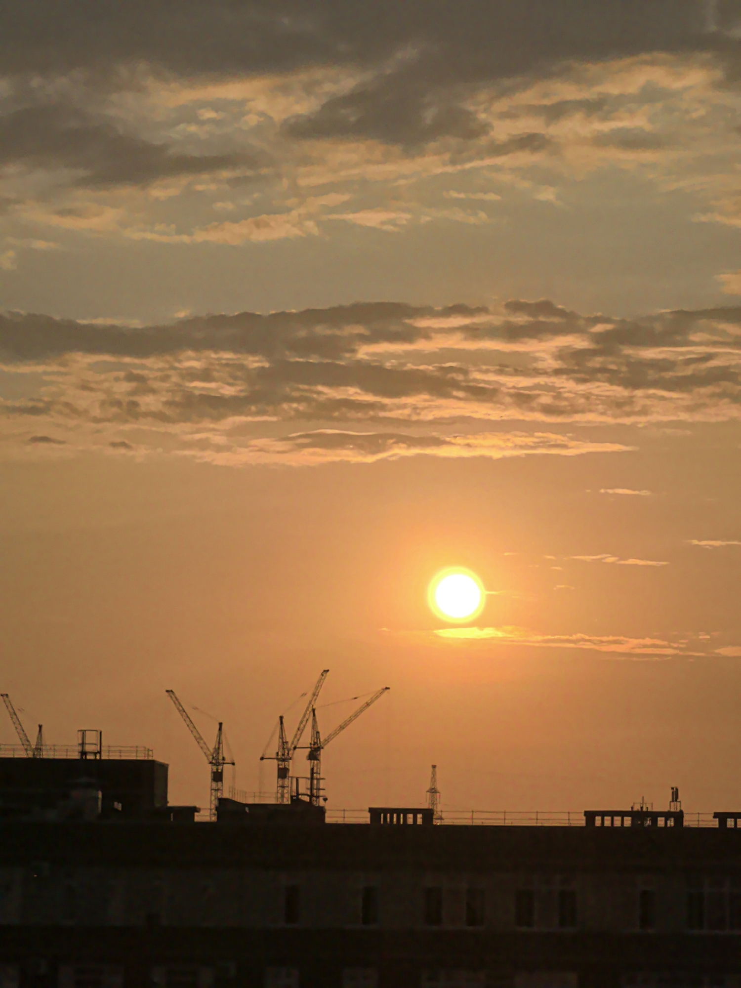 The image captures a silhouetted cityscape at sunset, with a bright sun partially obscured by clouds. Several construction cranes are visible against the orange sky, rising above the dark outlines of buildings. The lower portion of the image is dominated by the dark shapes of buildings, suggesting an urban environment. The scene appears to be set in the city of Froly, Russia, given the context. There are no people or identifiable animals visible in the frame.