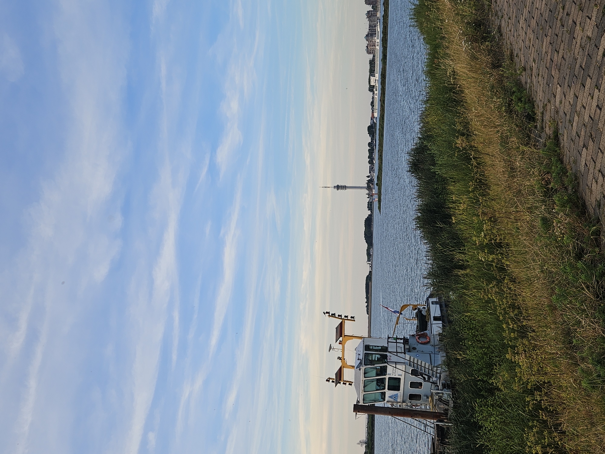 The image captures a tranquil scene along the waterfront of Lelystad, Netherlands. In the foreground, a paved walkway made of reddish-brown bricks leads the eye towards the right side of the frame. Dense green and golden-brown grasses and reeds line the edge of the water, creating a natural barrier between the walkway and the calm, blue body of water.

Dominating the left side of the frame is a white and grey tugboat, docked and partially obscured by the vegetation. The tugboat features a prominent cabin with large windows, a yellow mast-like structure with several lights, and a life preserver visible on its side. A Dutch flag is attached to the stern.

In the distance, across the water, the skyline of Lelystad is visible. A tall, slender television tower stands prominently in the center-left of the distant cityscape. Further to the right, a row of modern buildings with white facades and apartment complexes with dark roofs are arranged along the waterfront. The sky above is a soft blue, streaked with thin, wispy white clouds, suggesting fair weather. The overall impression is one of a peaceful day at the harbor.