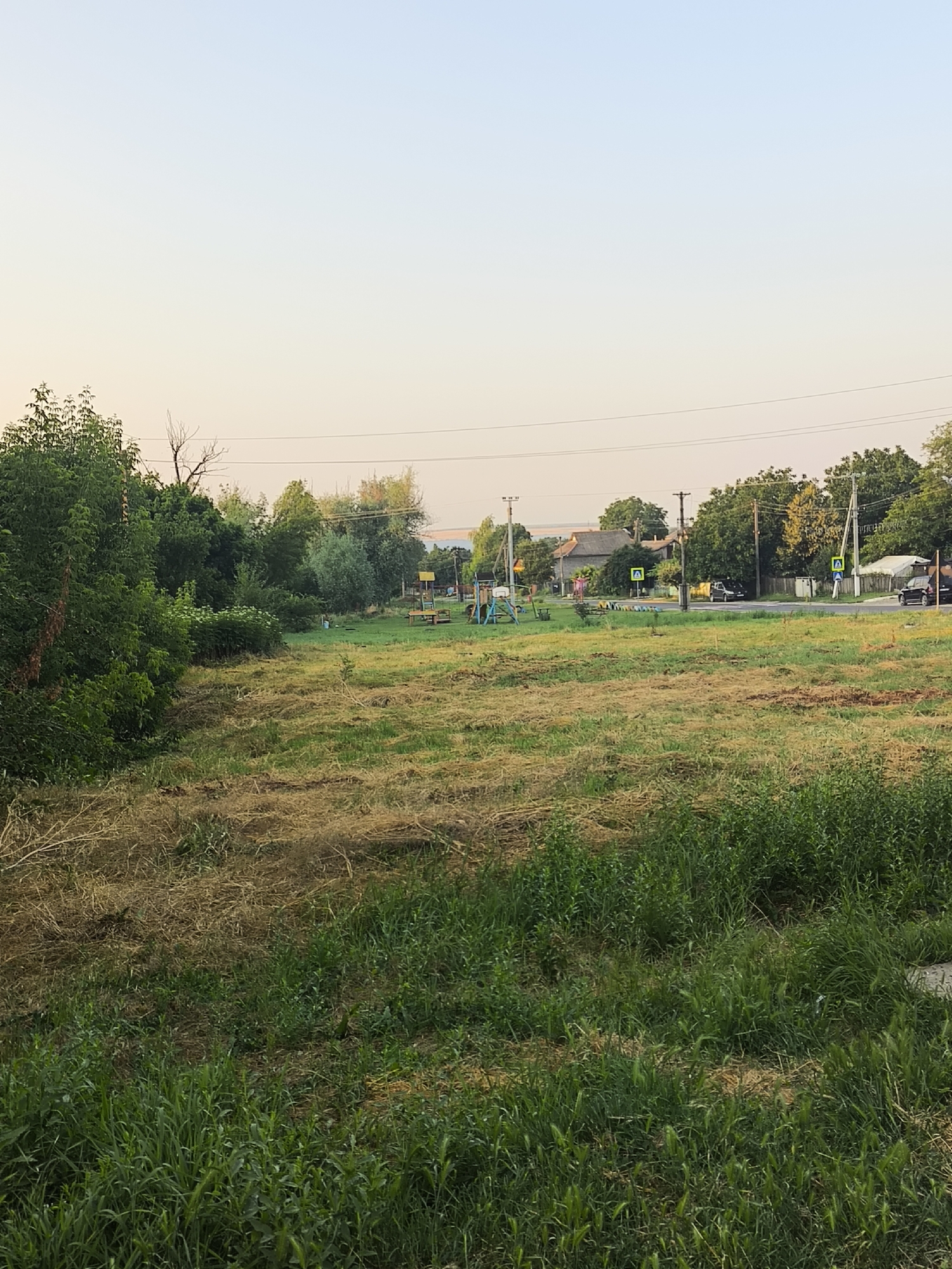 In Maximovca, Moldova, an outdoor scene depicts a rural or semi-rural setting during daylight hours. The foreground is dominated by a grassy field with patches of dry, mown grass. To the left, dense green foliage and trees form a natural boundary. In the middle ground, a children's playground with a swing set and climbing frame is visible in a grassy area. Beyond the playground, a road runs horizontally across the image, with several houses and trees lining its opposite side. Pedestrian crossing signs with yellow triangles are placed near the road. A few vehicles are parked along the road or are in motion. Overhead power lines traverse the sky, which transitions from a pale blue at the top to a warmer, lighter hue near the horizon. The overall impression is one of a quiet, rural community on a clear day.