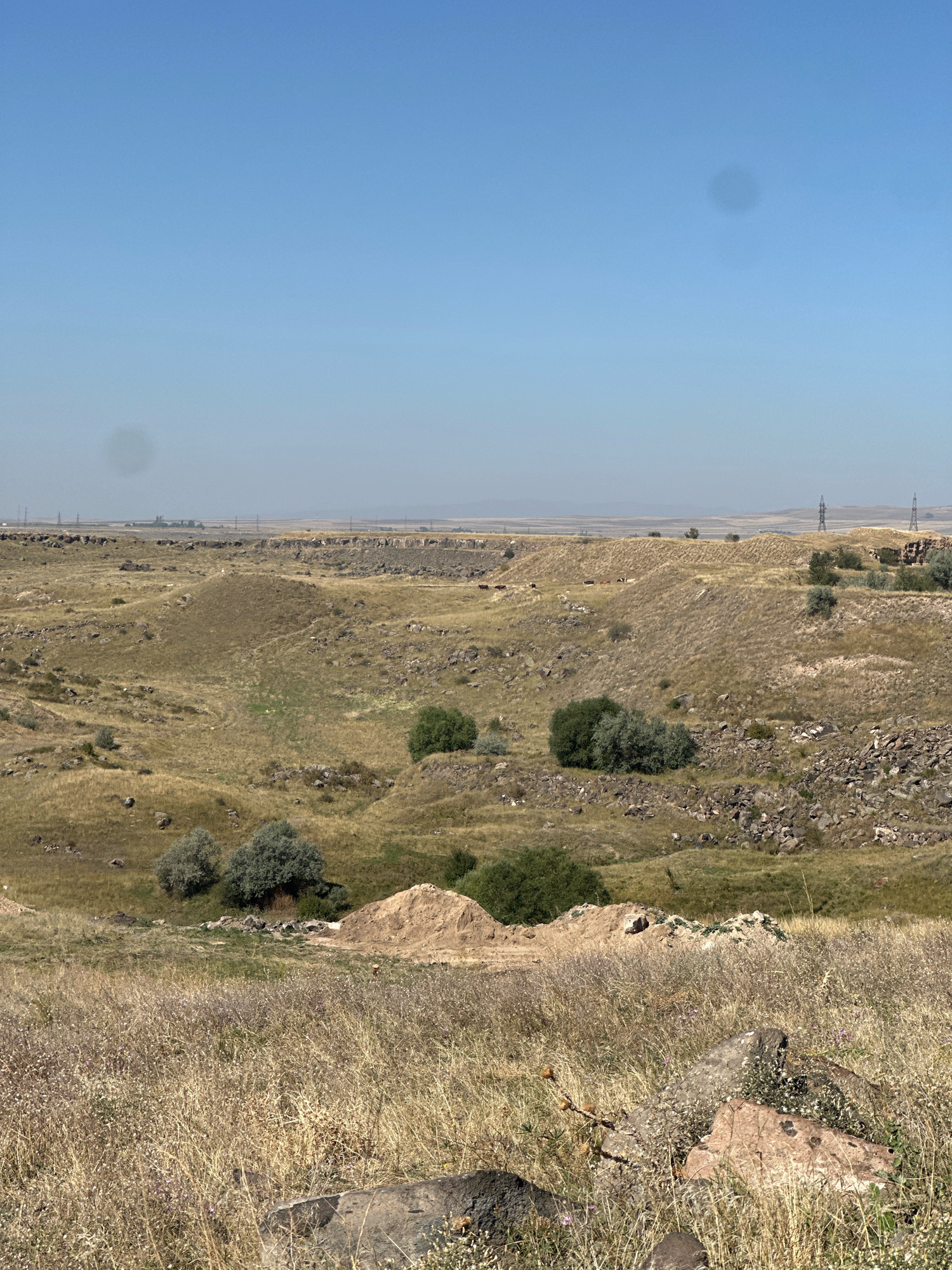 The image depicts a wide, dry, and rocky landscape with rolling hills under a clear blue sky. The terrain is covered in sparse, dry grass and scattered bushes and trees. In the middle ground, there are several mounds of earth, possibly from construction or excavation. Further in the distance, a flat horizon is visible with some industrial structures and power lines. There are also a few cows grazing in the middle distance. The foreground is dominated by tall, dry grass and large rocks. This is a view of the outskirts of Gyumri, Armenia, likely a rural or undeveloped area on the edge of the city.