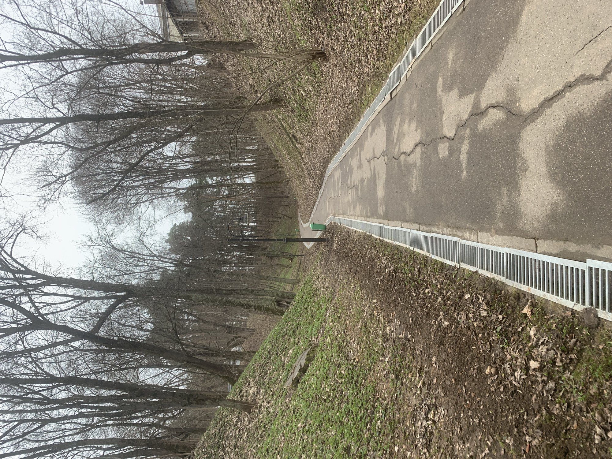 The image depicts a paved pathway running through a park, likely in late autumn or early spring based on the bare trees and fallen leaves. The pathway is cracked and has metal grating along one side, suggesting a drainage system. To the right of the path is a grassy slope covered with fallen leaves and some sparse green vegetation. The sky is overcast. The location is most likely in the city of Arkhangel’skoye, Russia. There are no people visible in the image. Other objects in view include a lamppost and a green garbage receptacle.