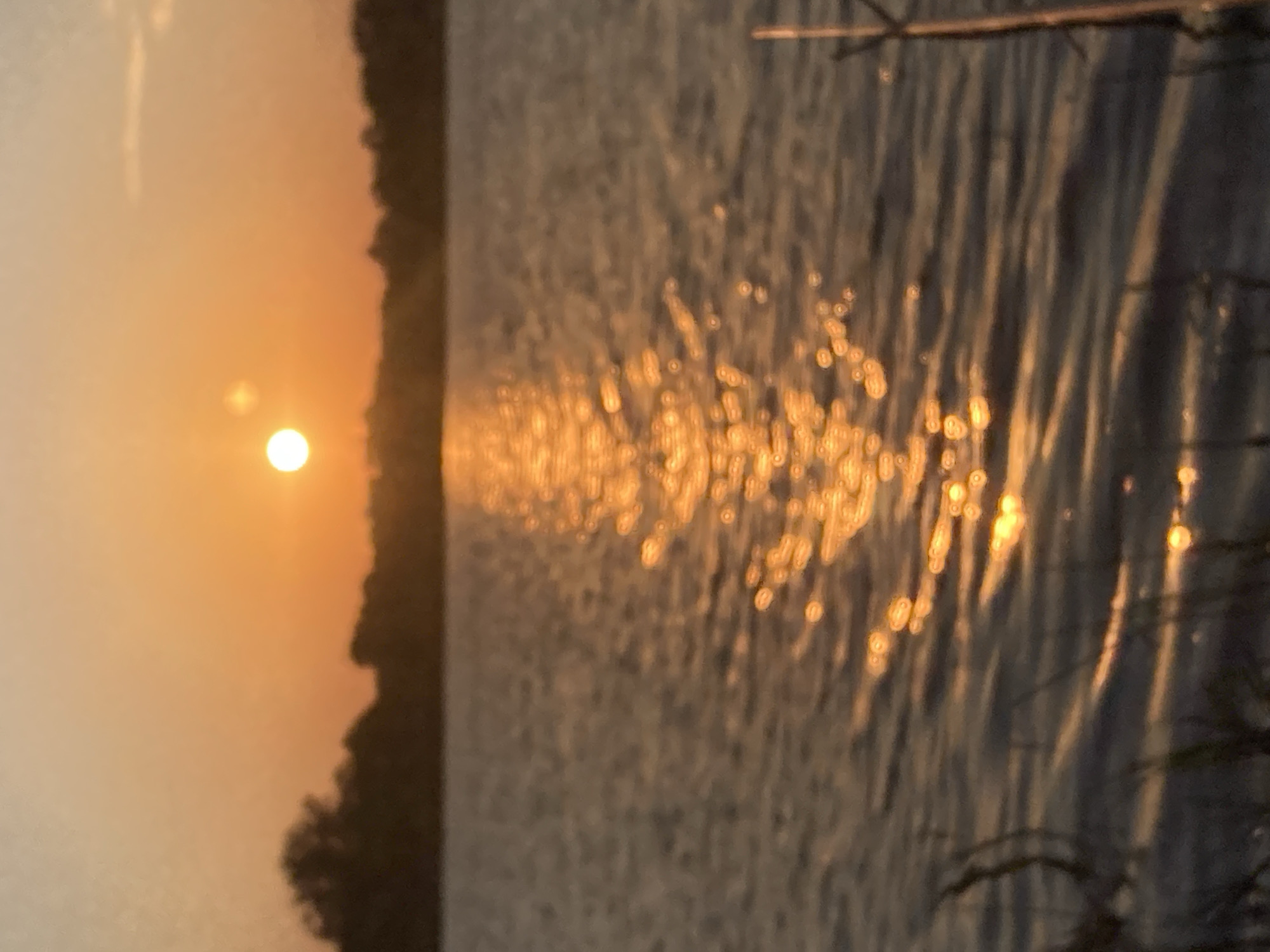 A blurred photograph captures a sunset over a body of water. The sun, a bright, hazy orb, is positioned in the upper center of the frame against an orange sky. A shimmering reflection of the sun stretches across the water's surface. The far bank of the water is lined with dark, silhouetted trees. In the foreground, the water is choppy, with ripples catching the light. Some out-of-focus vegetation is visible along the bottom edge of the image. There are no people or specific landmarks visible to indicate the location in Celo Rakity, Russia.