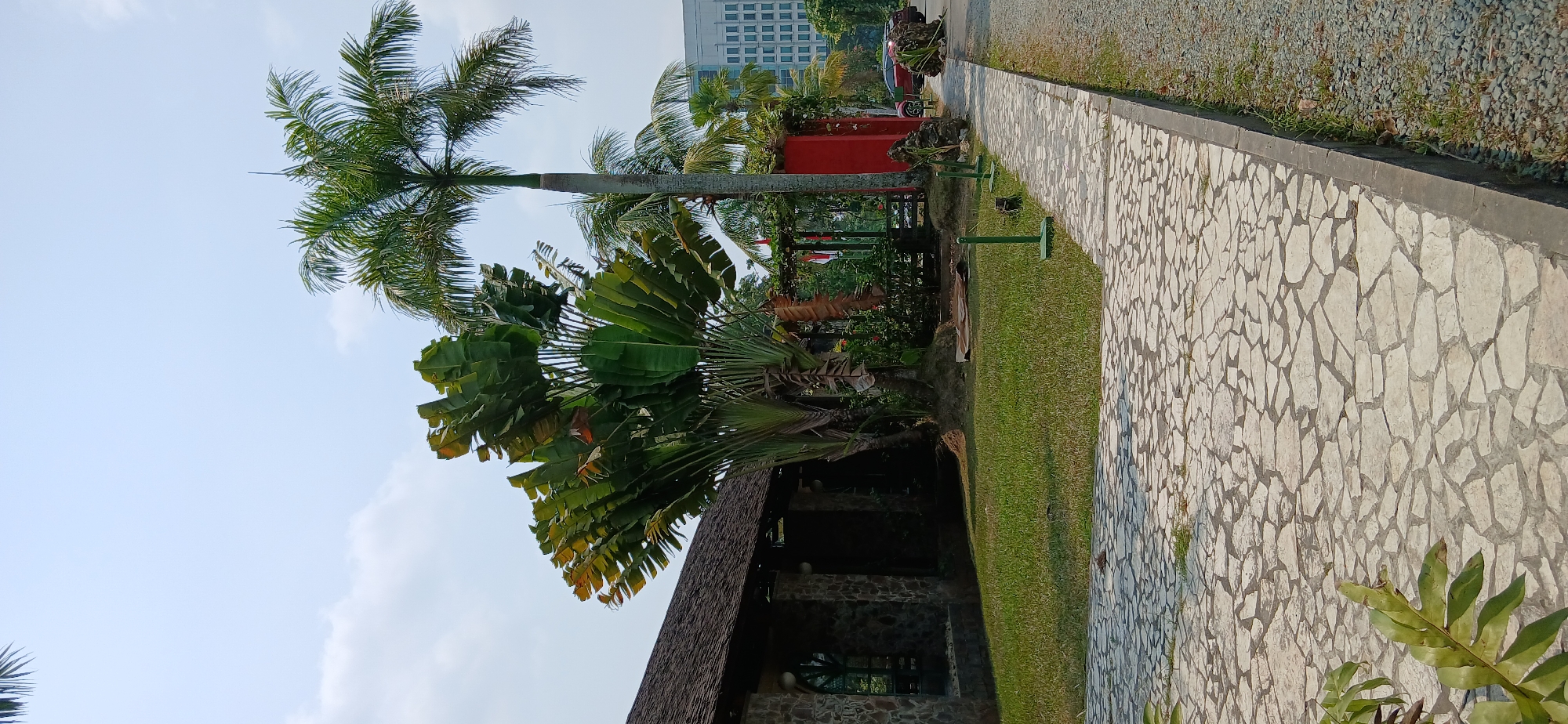 The image depicts an outdoor scene in Samarinda, Indonesia, likely a garden or park area adjacent to a building. A paved walkway made of irregular light-colored stones extends from the foreground into the distance. To the left of the walkway is a well-maintained lawn. Behind the lawn, a building with a stone facade and a dark, textured roof is partially visible. A prominent traveler's palm tree with large, fan-shaped leaves stands near the center of the image, between the stone building and a tall palm tree on the right. Further back, a vibrant red structure with an open-sided roof is visible, decorated with vines and what appear to be Indonesian flags. Beyond this, a modern, multi-story building with numerous windows dominates the background. The sky is a pale blue with scattered clouds. The scene is tranquil and suggests a public or commercial space.