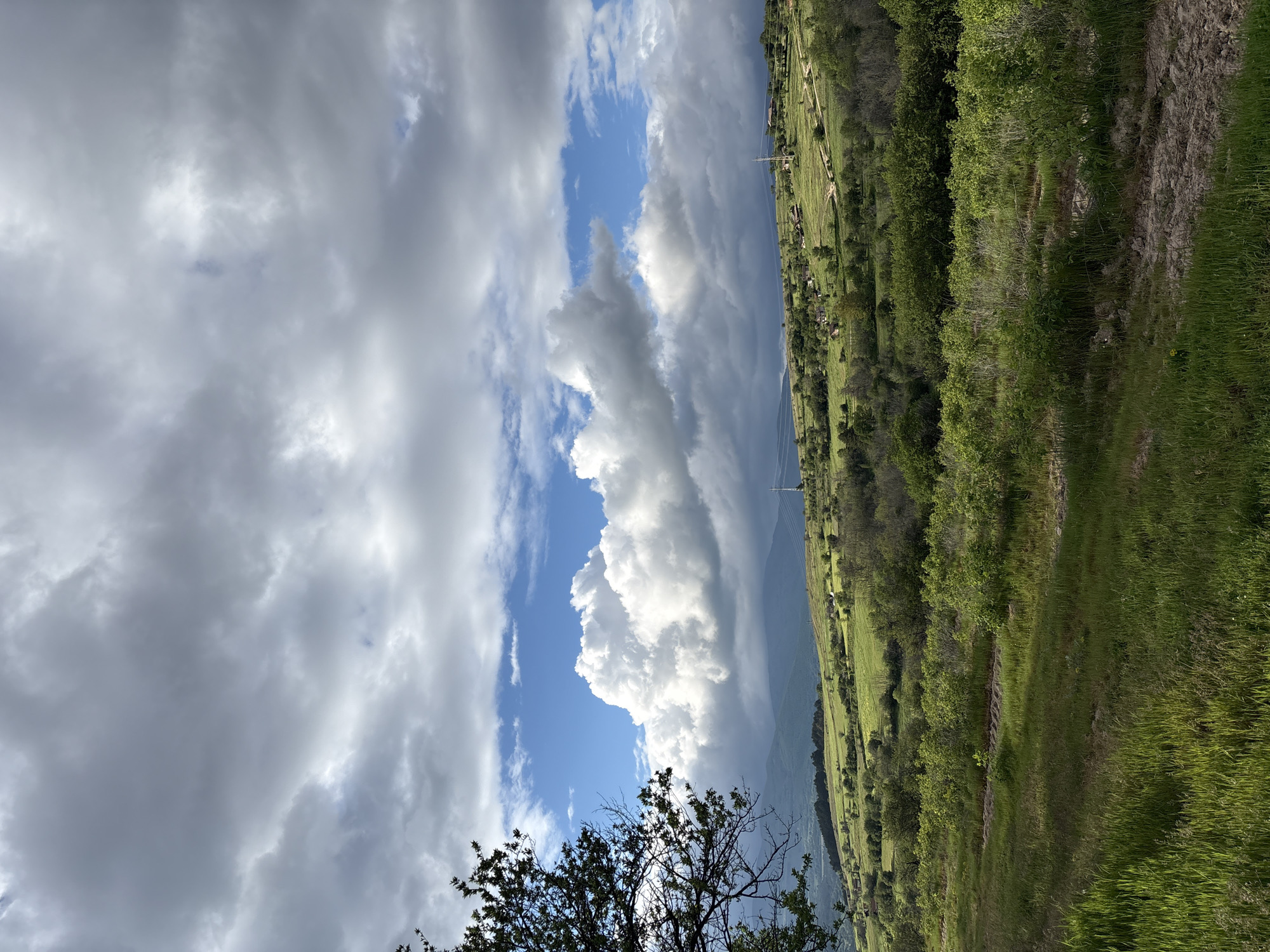 The image captures a rural scene in Panagyurishte, Bulgaria. The foreground features lush green vegetation and a dirt path. In the distance, a verdant field stretches towards a tree line. The sky is dominated by a dramatic display of clouds, ranging from dark and ominous to bright white. A tall cumulus cloud towers in the center of the frame. Power lines are faintly visible in the distance. A silhouetted tree occupies the bottom portion of the image.