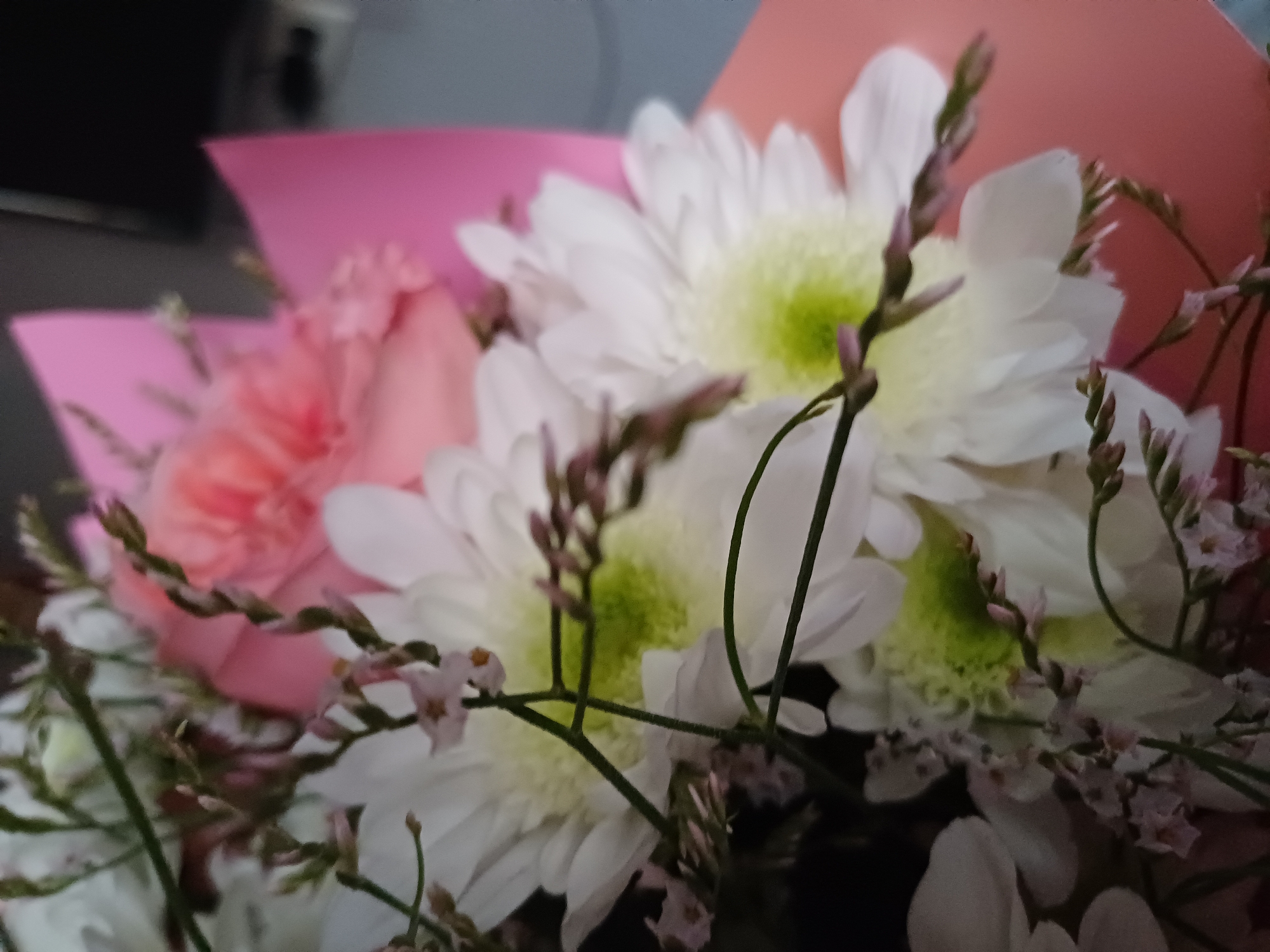 A close-up shot focuses on a bouquet of flowers, predominantly white daisies with vibrant green centers, interspersed with delicate pink blossoms and green foliage. The flowers are arranged with a bright pink paper wrapping visible in the background, creating a soft, colorful contrast. The lighting appears to be diffused, highlighting the textures and colors of the floral arrangement. The image is a still life composition, with no people or discernible actions taking place. The background is out of focus, suggesting an indoor setting, possibly a retail or domestic environment, in Unknown, Unknown.