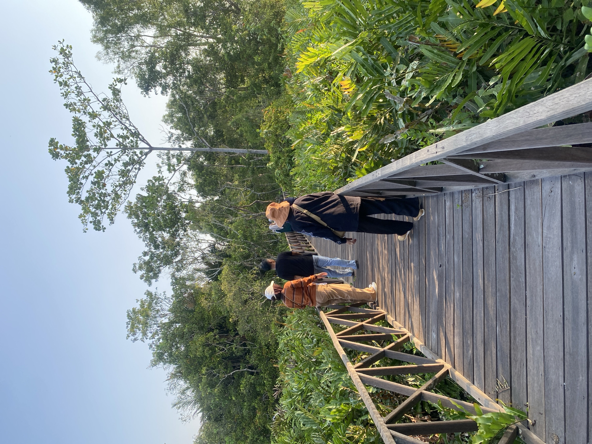 The image depicts a wooden boardwalk winding through lush greenery, with several individuals walking along it. The boardwalk is made of weathered wooden planks and has a rustic wooden railing. On the left side of the boardwalk, dense, vibrant green foliage is visible, appearing to be a variety of tropical plants or ferns. On the right side, similar dense vegetation lines the path, with some leaves catching the sunlight and appearing brighter.

In the foreground, the back of a person wearing a dark jacket and an orange hat is visible, walking away from the camera. To their left and further down the boardwalk, two other individuals are walking. One is wearing an orange and brown striped long-sleeved shirt, beige pants, and a white cap. The other person is wearing a black t-shirt and blue jeans. In the distance, a few more people are visible, further along the boardwalk, and some appear to be taking photos.

The background is dominated by a dense forest of trees, with a clear, pale blue sky overhead. A tall, slender tree with a large canopy of green leaves stands out against the sky. The lighting suggests it is late afternoon or early morning, with the sun casting long shadows on the boardwalk. The overall scene conveys a sense of walking through a natural, well-maintained park or nature reserve. The location is identified as Sungai Pitung, Indonesia.