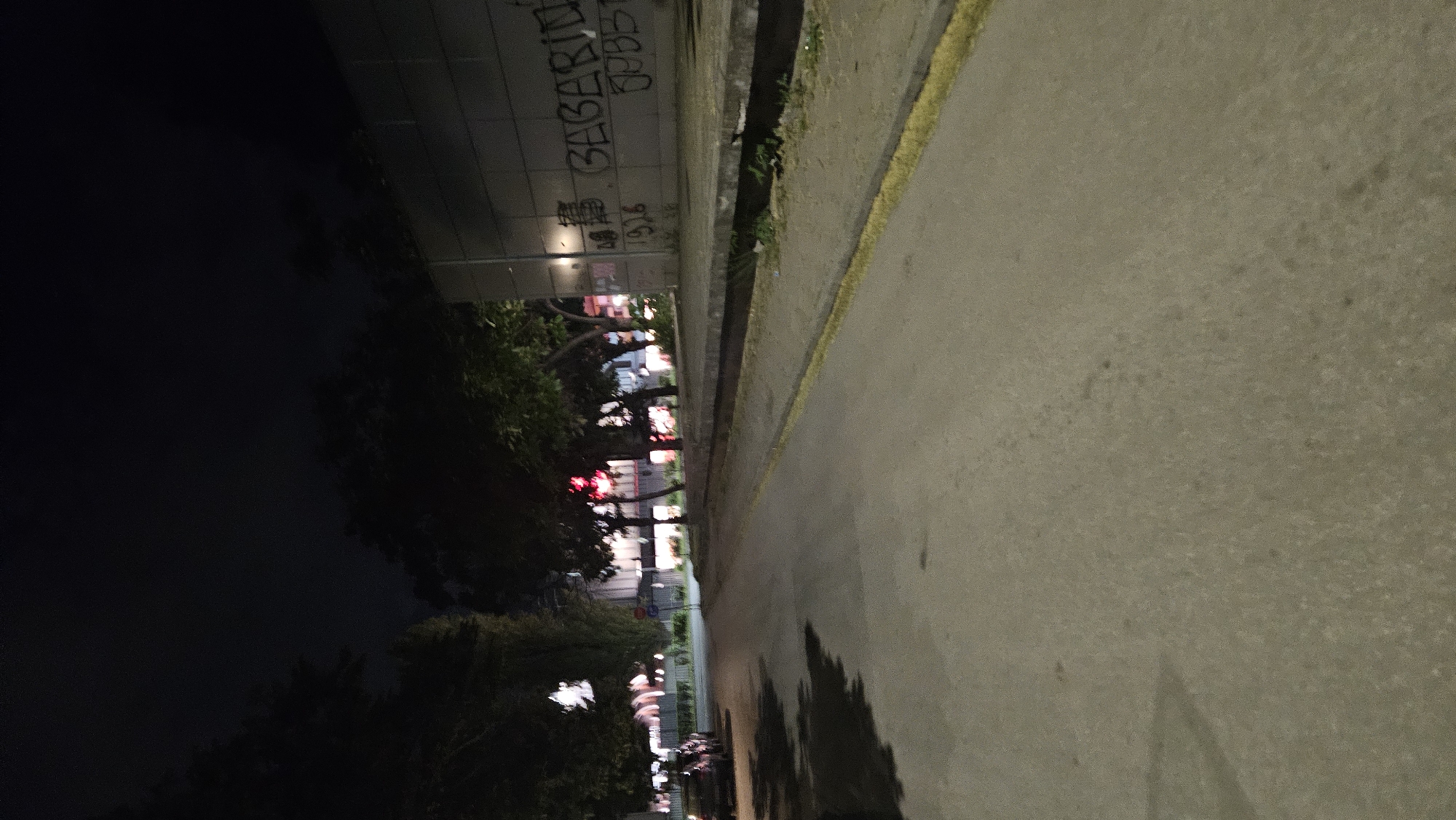 The image depicts a nighttime street scene in Plovdiv, Bulgaria. A sidewalk with a yellow curb runs along the right edge of the frame, next to an asphalt road. Graffiti is visible on a low wall separating the sidewalk from a green area. Beyond the wall, trees line the street. Light from buildings illuminates the trees and road. Shadows are cast across the road. In the distance, indistinct figures of people and motor vehicles are seen.