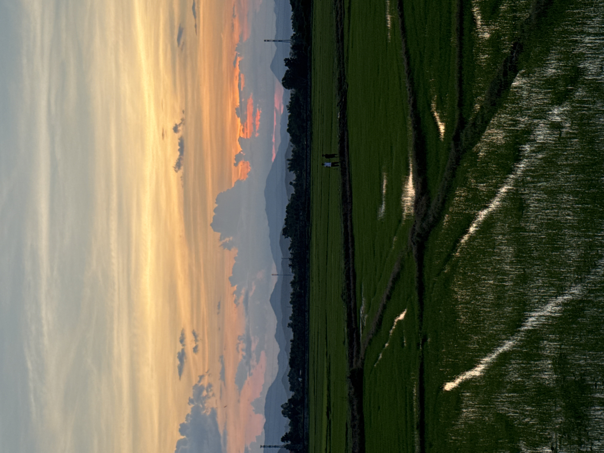This is a vertical, eye-level medium shot of a rice paddy field at dusk in Tan Dinh, Vietnam. The sky is filled with bands of orange and yellow from the setting sun, with scattered clouds. In the foreground, the flooded rice paddies are a dark green, reflecting the sky. Two figures, one in a white shirt and the other in a dark shirt, stand on a dirt path separating two sections of the paddy. In the background, there are distant mountains and trees, with a few utility poles. The overall mood is tranquil.