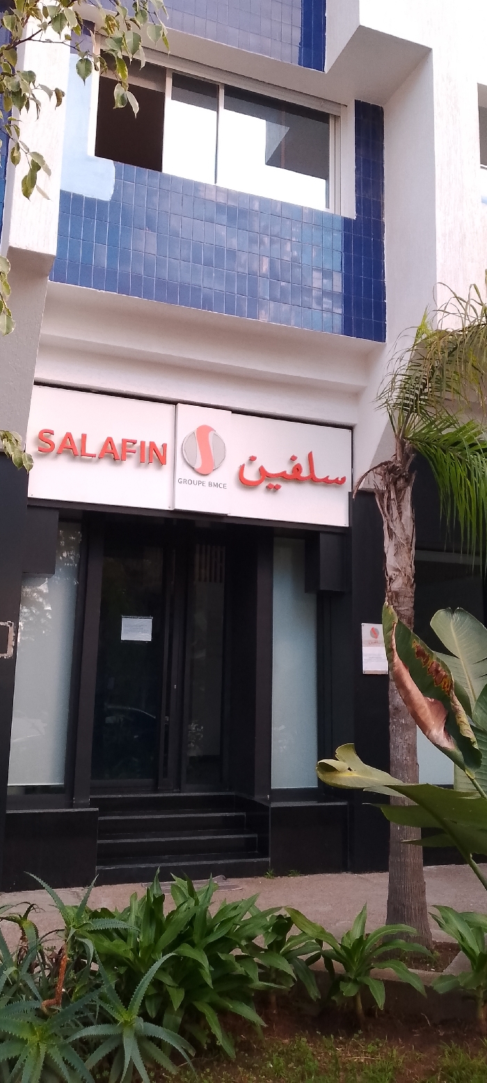 A low-angle shot captures a building with "SALAFIN GROUPE BMCE" signage. The sign is positioned above a dark-framed glass entrance with stairs. The building's upper section features blue tiled accents. Plants, including aloe and palm, frame the bottom and right side of the shot, adding greenery. A tree with sparse leaves is visible on the left. The overall scene is brightly lit.