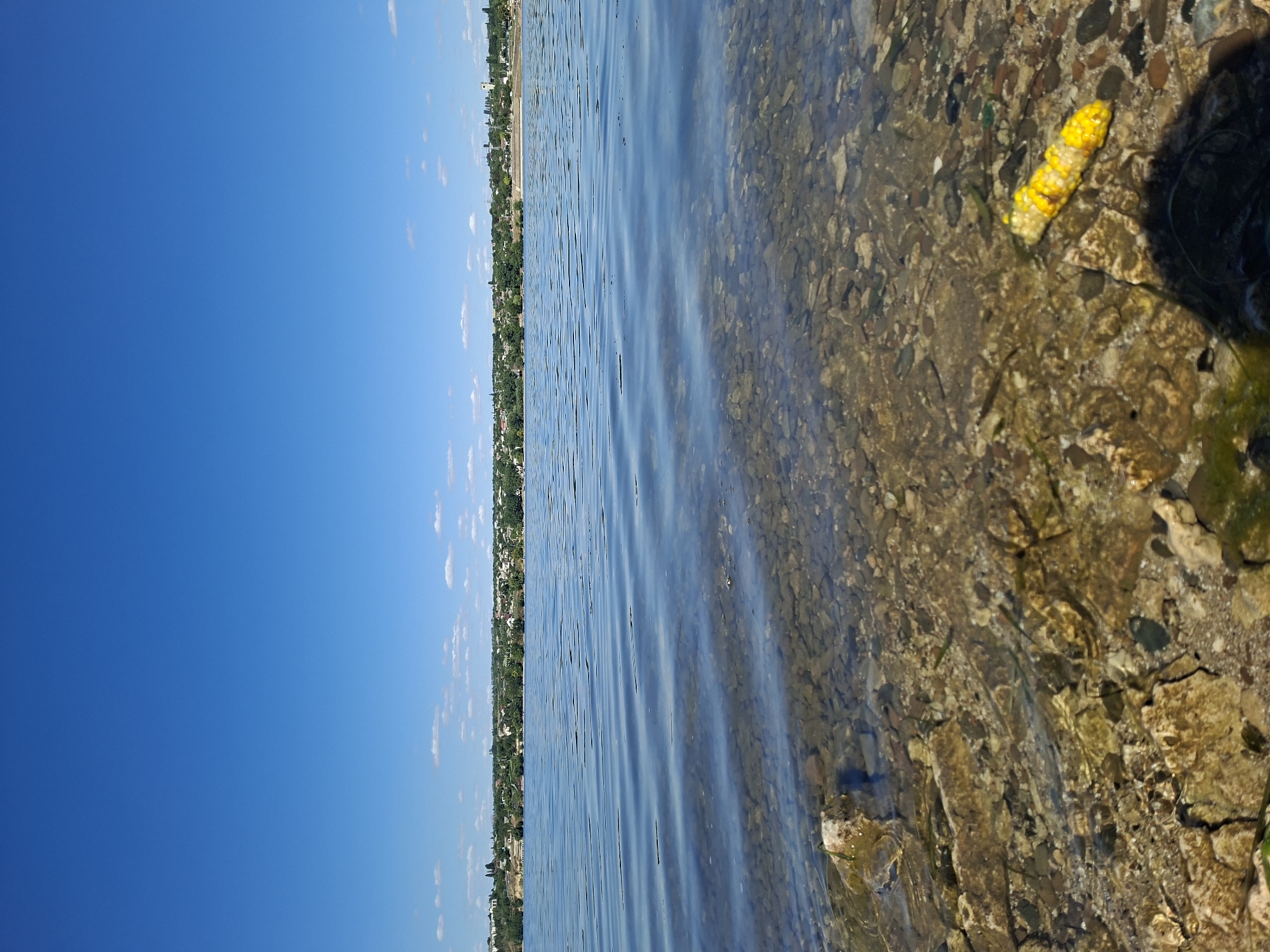 The image shows a view of the Nistru River in Ustia, Moldova, on a clear, sunny day. The foreground is dominated by the shallow, rocky bottom of the river, with some submerged stones and a piece of corn visible on the right. The water is calm, with gentle ripples disturbing its surface. In the middle ground, the expanse of the river stretches out, reflecting the blue sky. The background features a distant, tree-lined shore with a settlement of houses and buildings, suggesting a small town or village. The sky is a vibrant, cloudless blue, taking up a significant portion of the upper frame. The overall impression is one of a peaceful, natural landscape.