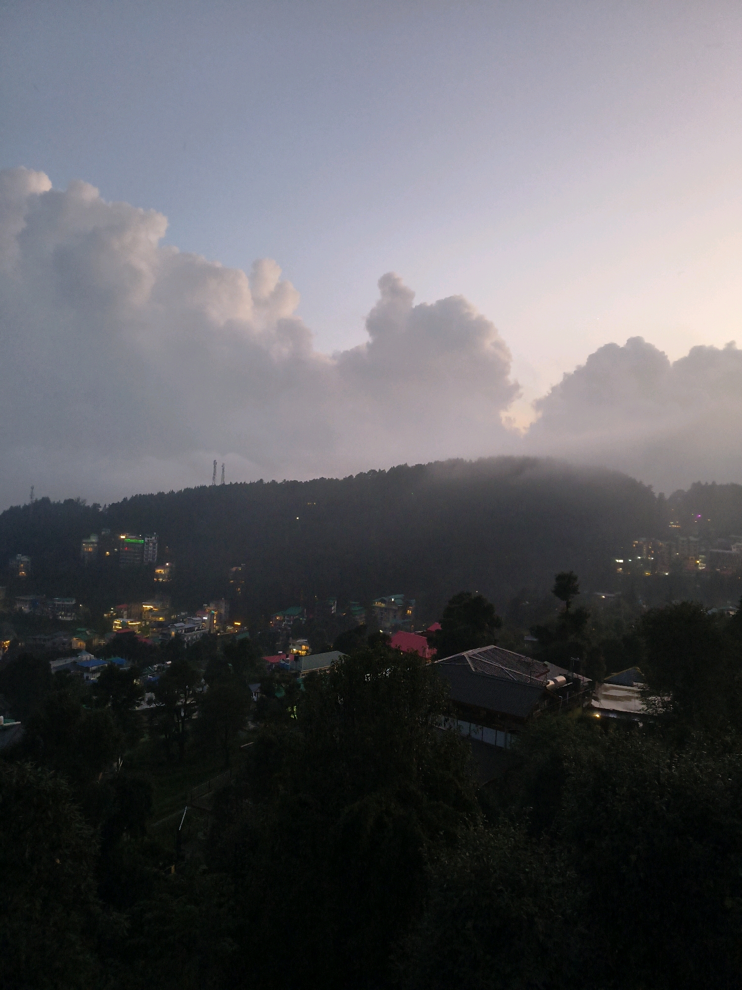 This is an aerial, wide-angle photograph taken from an elevated viewpoint overlooking Dharamkot, India, during dusk. The sky is a pale, dusky blue transitioning to a lighter hue near the horizon, with large, voluminous clouds filling the upper left portion of the frame. The clouds have soft, diffused edges, indicative of the low light conditions.
Below the sky lies a densely forested, hilly terrain. The hills are covered in dark green vegetation, with the trees appearing almost black in the dim light. Scattered across the hillsides and in the valley below is a town, illuminated by the warm glow of numerous lights. These lights form clusters and streaks, highlighting the winding streets and the architecture of the buildings. Some buildings appear to be hotels or guesthouses, identifiable by their size and the prominent lighting.
In the foreground, dark foliage from trees obscures parts of the view, creating a natural framing effect. The overall atmosphere is serene and somewhat mystical, capturing the transition from day to night in a hilly, forested region with a bustling town. The image is devoid of any visible people or immediate actions.
