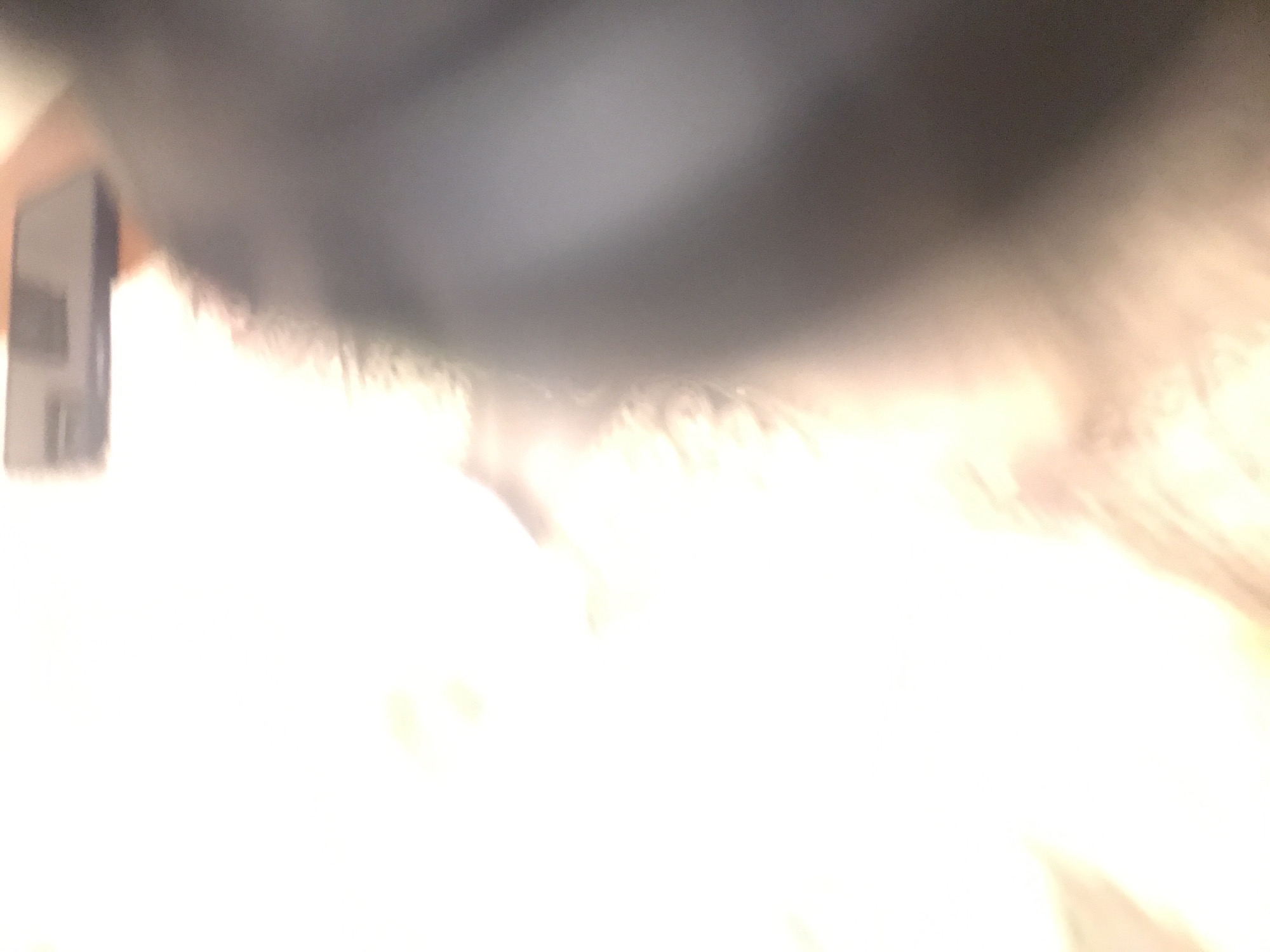 The image is blurry and overexposed, making details difficult to discern. A dark, out-of-focus object dominates the upper part of the frame. A lighter, indistinct area occupies the lower portion. A small, rectangular object is visible in the upper left. The location in Yerevan, Armenia cannot be determined from the image.