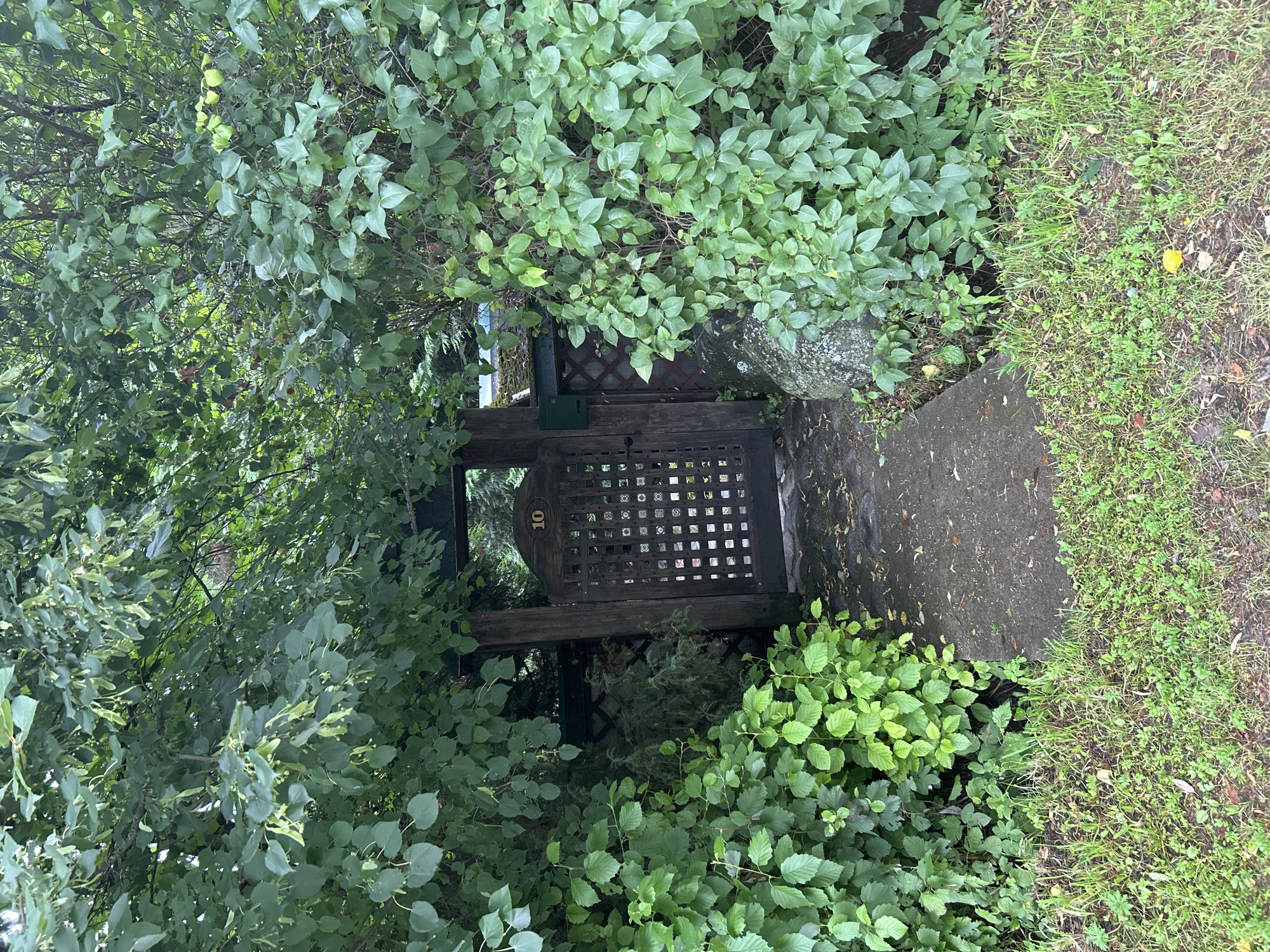 A wooden gate, numbered "10", is centered in the frame, partially obscured by dense green foliage. The gate has a decorative lattice pattern and is framed by two dark wooden posts. To the left of the gate, a concrete pathway leads towards it, bordered by lush green bushes and grass. To the right of the gate, more green bushes and a large gray rock are visible. A green mailbox is attached to the gate's right side. The scene appears to be an entrance to a property, likely in a residential area.