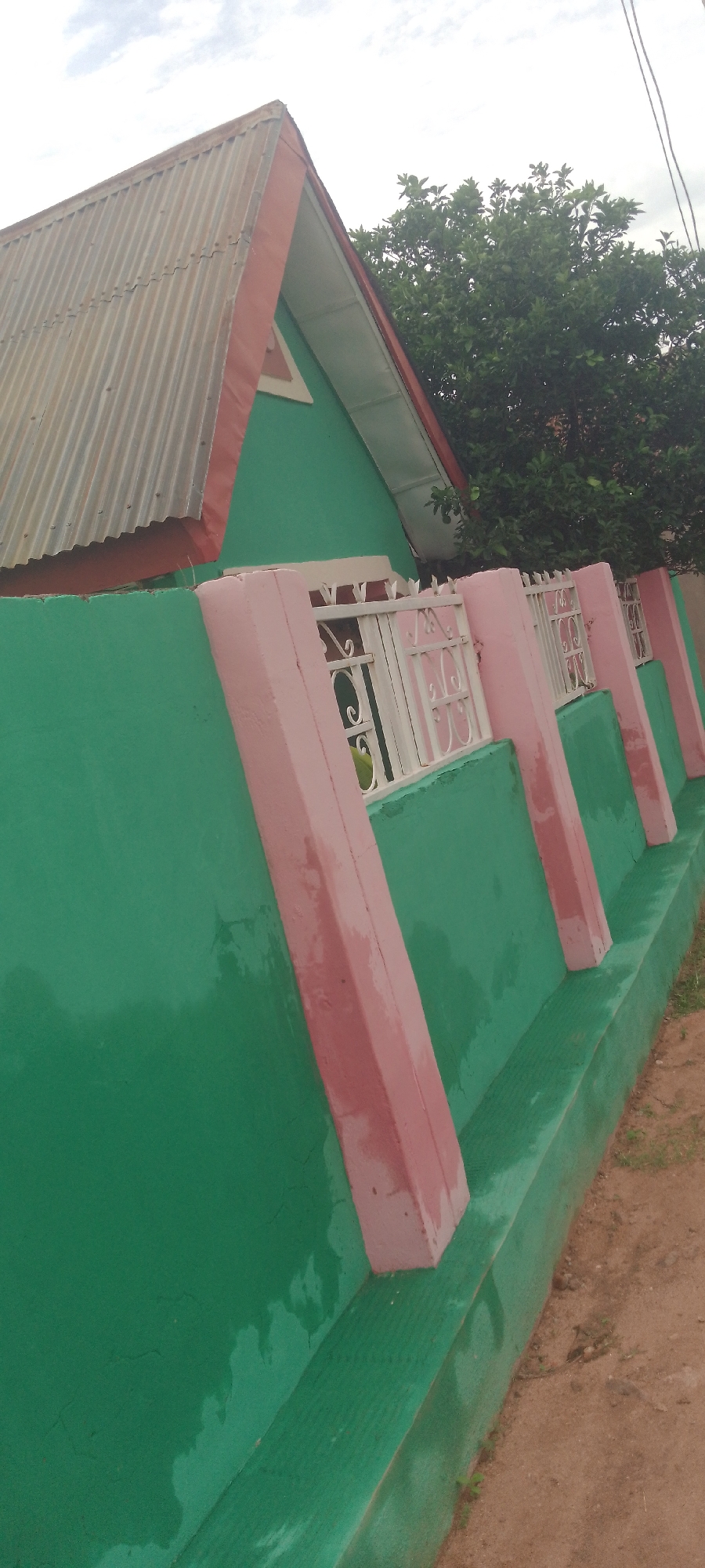 An exterior, low-angle, eye-level shot captures a green painted wall with decorative pink rectangular pillars running horizontally across it. The wall has several small, barred windows with white decorative metalwork. The roof of a building, made of corrugated metal and trimmed with red, is visible in the upper left corner, with a green painted wall and a section of roof extending to the right. A large, leafy green tree stands behind the wall and to the right of the building. The ground in front of the wall appears to be reddish-brown soil. The scene is likely located in Jalingo, Nigeria, though no specific landmarks are identifiable. The lighting suggests an overcast day.