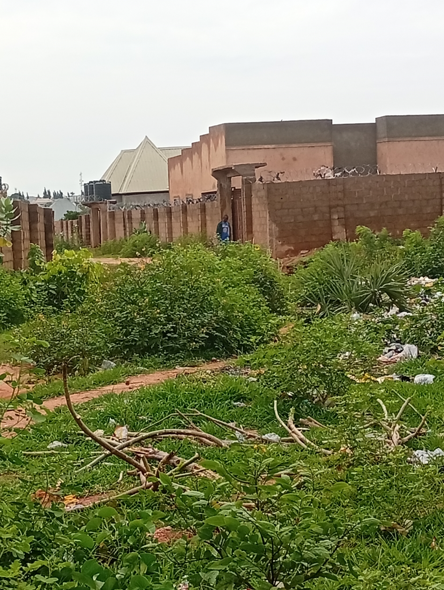 The image depicts an outdoor scene in Tumfure, Nigeria, featuring overgrown vegetation and construction. In the foreground, dense green foliage, including leafy plants and branches, covers the ground. Some debris, possibly trash bags and plastic, is visible among the plants. A dirt path winds through the greenery.
In the midground, a brick wall separates the foreground from a built structure. Barbed wire runs along the top of this wall. Beyond the wall, a building with a light-colored, pitched roof is visible, with what appear to be water tanks on top. Adjacent to this building is another structure with a flat roof and a pinkish-tan facade, topped with gray coping stones. Another section of the same structure, with similar gray coping, is visible to the right. A man in a blue shirt and dark pants stands near an opening in the brick wall, looking towards the right side of the image.
In the background, more structures and trees are visible under a hazy, overcast sky. The overall impression is one of a partially developed area with significant untamed natural growth and scattered construction.
