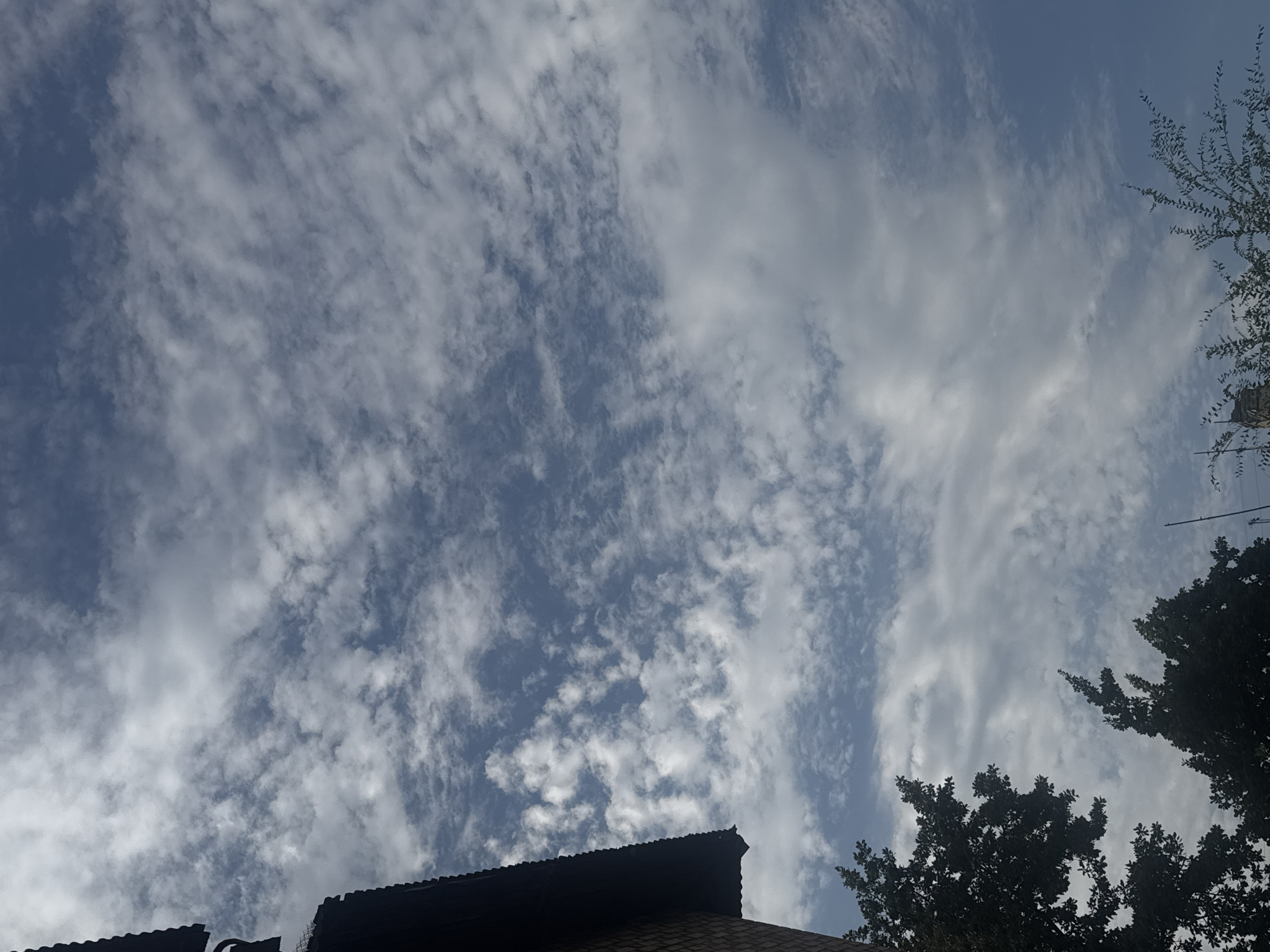 The image is a low-angle shot of a sky filled with a mix of white and gray clouds. The blue sky is visible between the clouds. In the lower left corner, a portion of a building with a dark, sloped roof and brick facade is visible. To the left of the building, the dark silhouettes of trees with dense foliage are present. The rest of the image is dominated by the sky and clouds. The scene appears to be outdoors in a city. Based on the provided information, the location is Bishkek City, Kyrgyzstan.