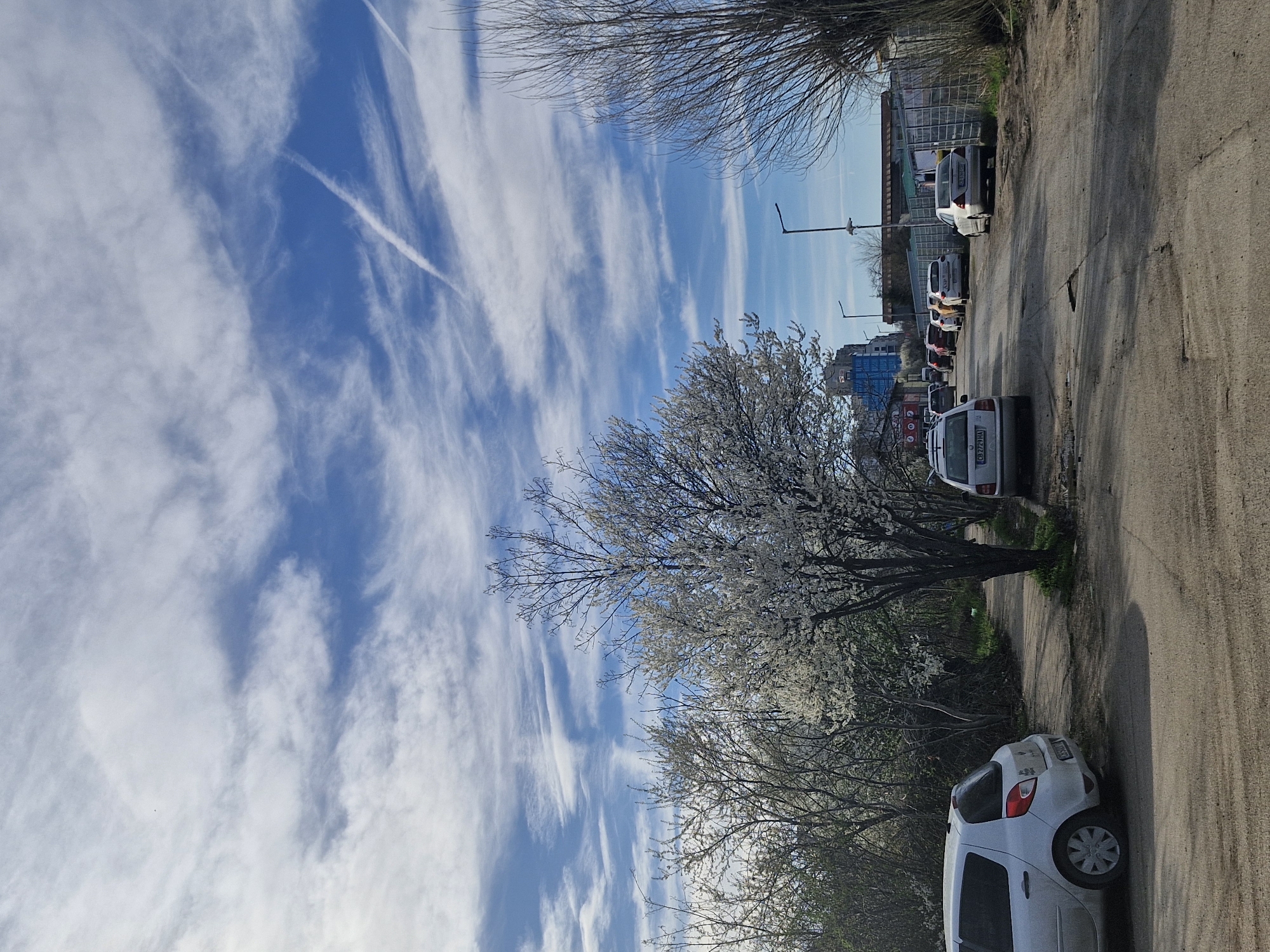 The image shows a street scene in Sofia, Bulgaria. A row of parked cars lines the right side of a paved road. The cars are predominantly white and silver. Across the road, flowering trees are present. A blue sky with streaks of clouds is visible overhead, with a contrail present from a passing airplane. Further in the distance, buildings are visible. The road appears worn and cracked. There are no people visible.