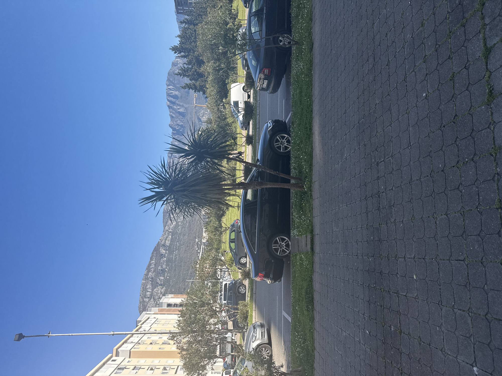 The image depicts a street scene in an urban area, possibly in the city of Unknown, Unknown. A row of parked cars lines the side of the street, adjacent to a paved sidewalk. The vehicles appear to be various models and colors. A few small trees are interspersed along the roadside, providing some greenery. In the background, a large mountain range is visible, suggesting a coastal or mountainous region. A clear blue sky is overhead. The overall setting appears to be a residential or commercial district. A building is visible on the left side of the image. A light post is seen.