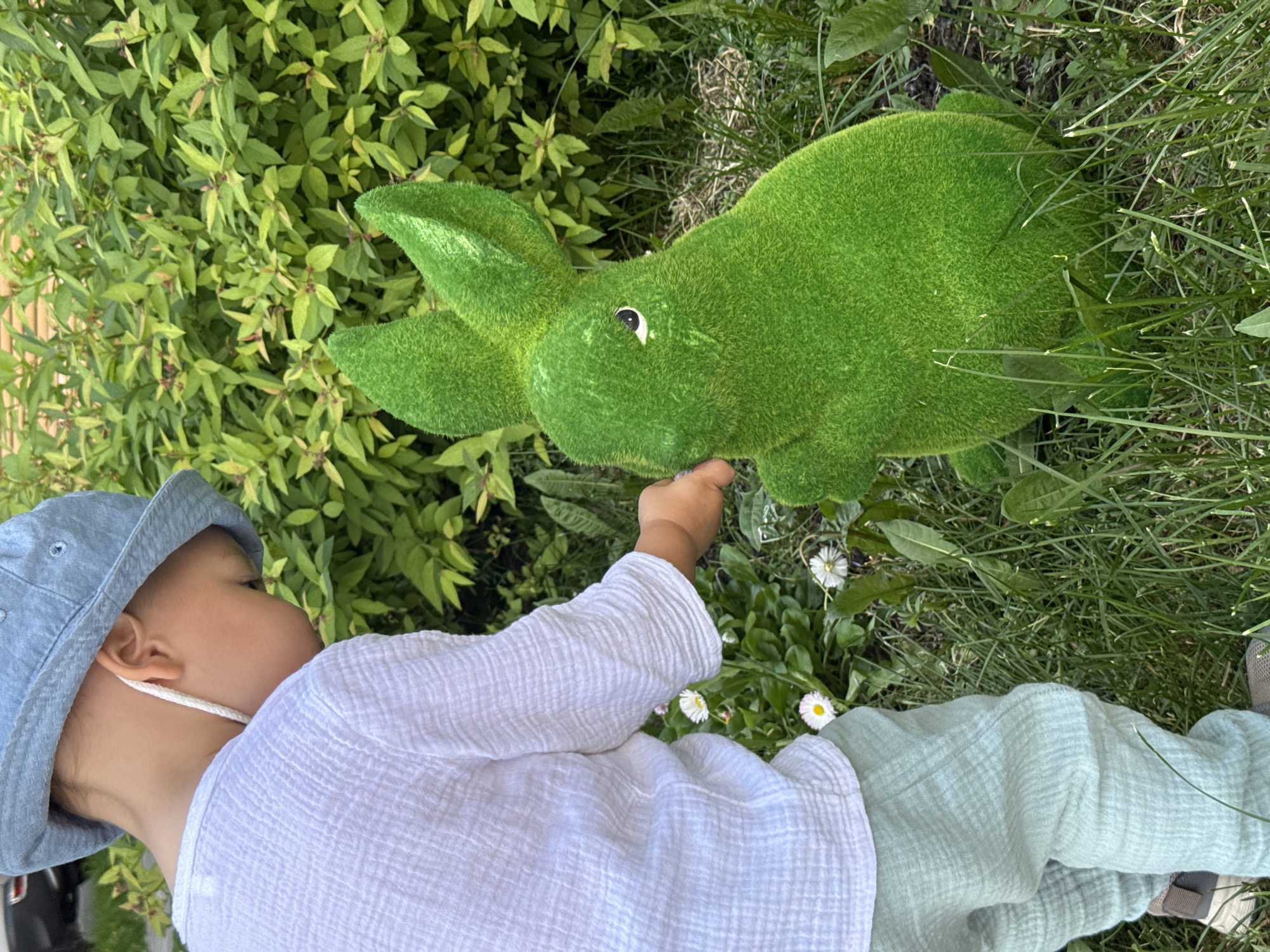 A young child, seen from the upper back and right side, interacts with a large, artificial green rabbit figure in an outdoor grassy environment. The child wears a light blue bucket hat, a white long-sleeved shirt with a crinkled texture, and light mint-green crinkled pants with grey and white sneakers partially visible. A white cord hangs from behind the child's right ear. The child is leaning forward, extending their right hand towards the head of the green rabbit, appearing to touch or investigate it.
The rabbit figure is upright and static, covered in a vibrant, short, artificial green material resembling grass or moss. It features distinct ears, a small white eye with a black pupil, and is posed in a traditional seated rabbit posture with one paw slightly raised.
The immediate ground consists of green grass interspersed with small white wildflowers, consistent with daisies, and patches of visible soil. The background is dominated by a dense wall of bright green foliage, likely shrubs or bushes, displaying some lighter green and reddish-brown tints on the leaves. The scene is illuminated by bright natural daylight. There are no discernible visual elements within the image to indicate the specific location, such as the city of Moscow, Russia.
